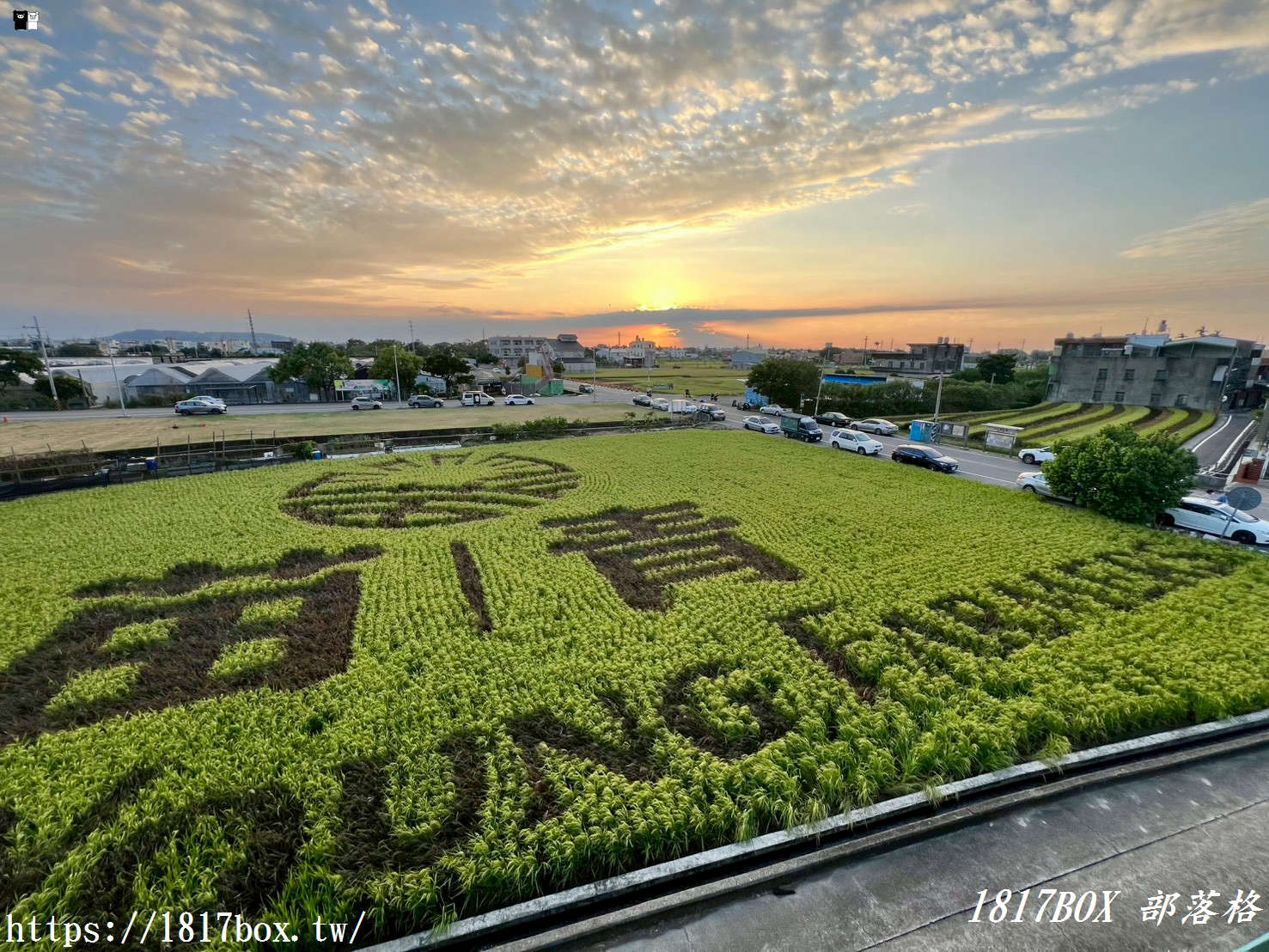 【苗栗。苑裡】稻田彩繪觀景臺。每年有不同主題的彩繪稻田供遊客欣賞 【苗栗。苑裡】稻田彩繪觀景臺。每年有不同主題的彩繪稻田供遊客欣賞