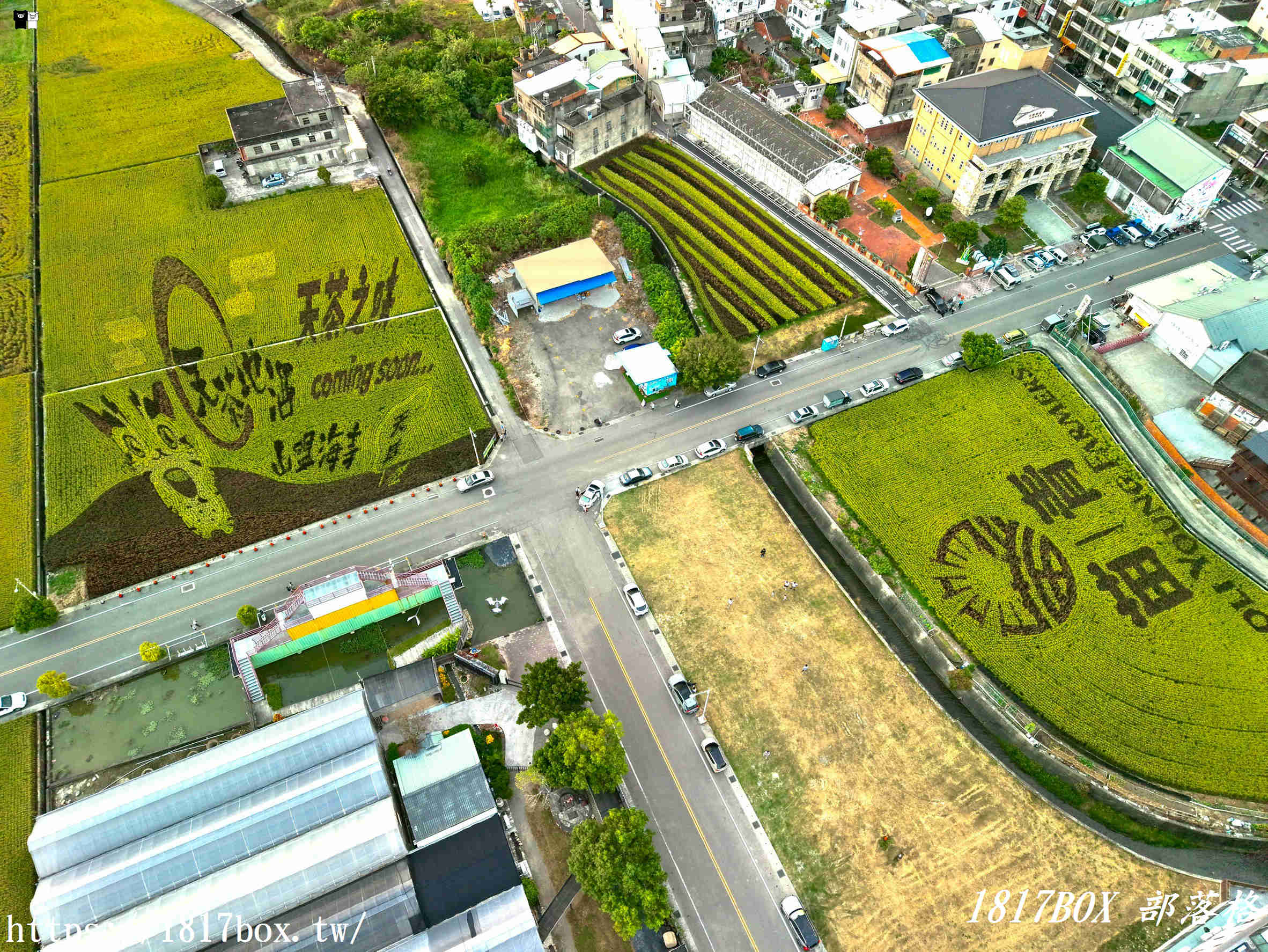 【苗栗。苑裡】稻田彩繪觀景臺。每年有不同主題的彩繪稻田供遊客欣賞