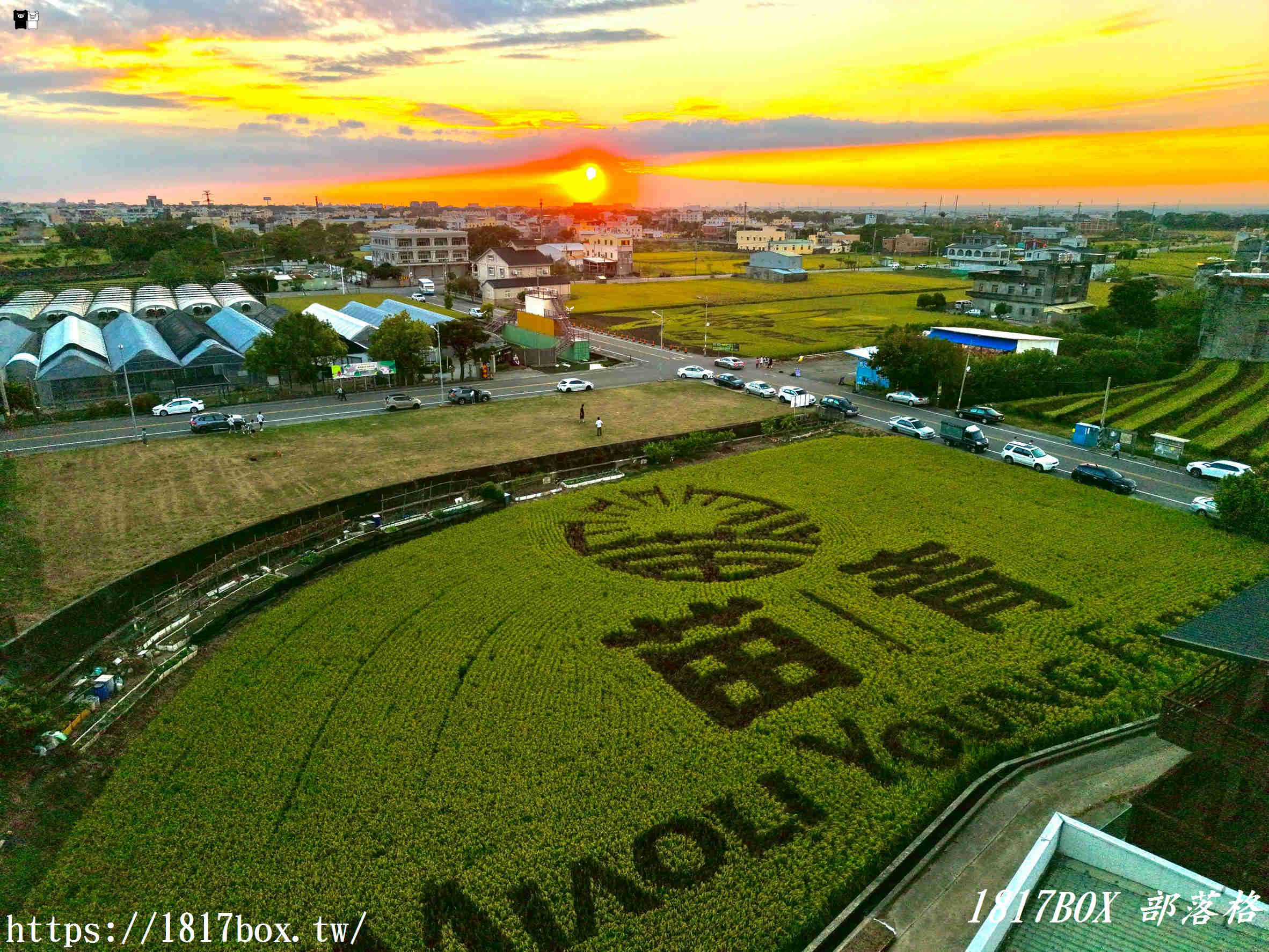 【苗栗。苑裡】稻田彩繪觀景臺。每年有不同主題的彩繪稻田供遊客欣賞 【苗栗。苑裡】稻田彩繪觀景臺。每年有不同主題的彩繪稻田供遊客欣賞