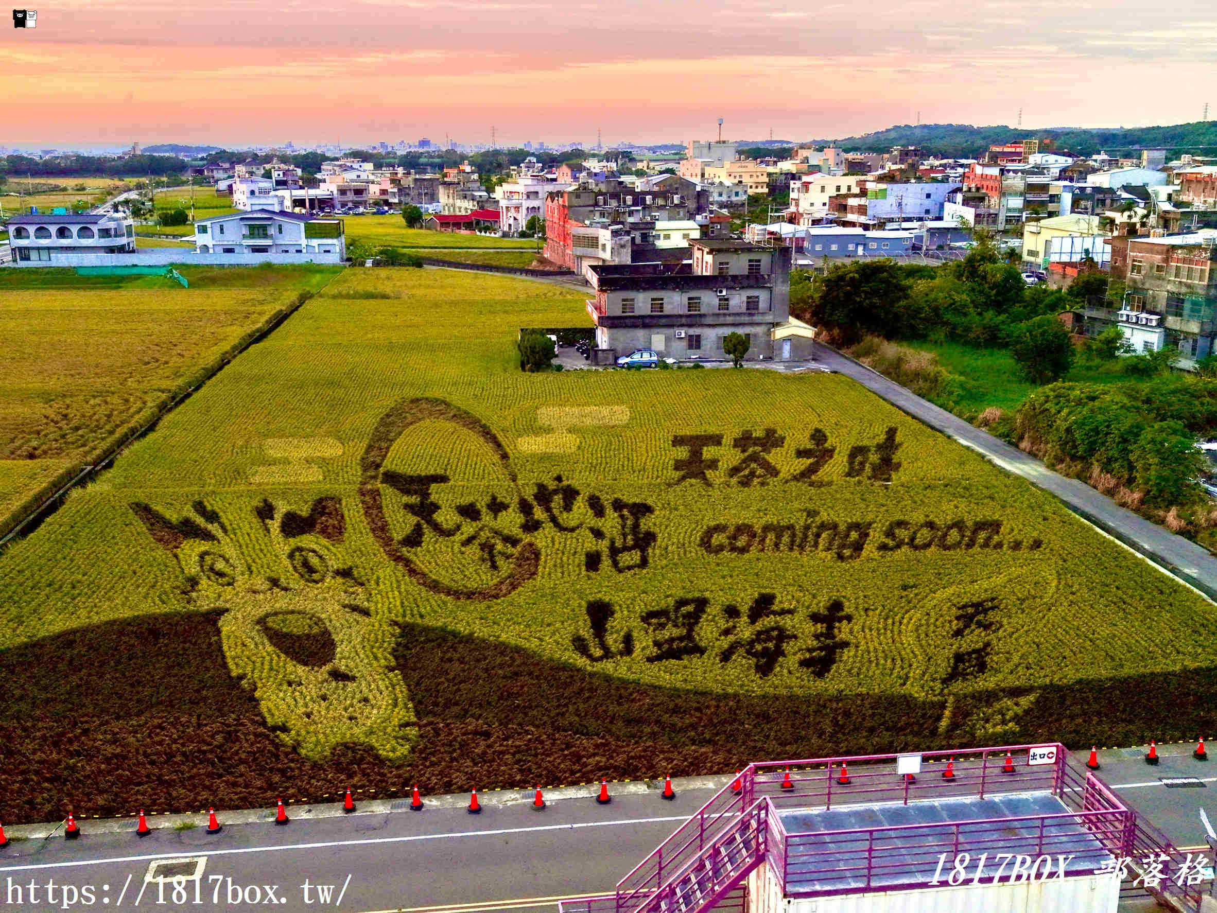 【苗栗。苑裡】稻田彩繪觀景臺。每年有不同主題的彩繪稻田供遊客欣賞 【苗栗。苑裡】稻田彩繪觀景臺。每年有不同主題的彩繪稻田供遊客欣賞