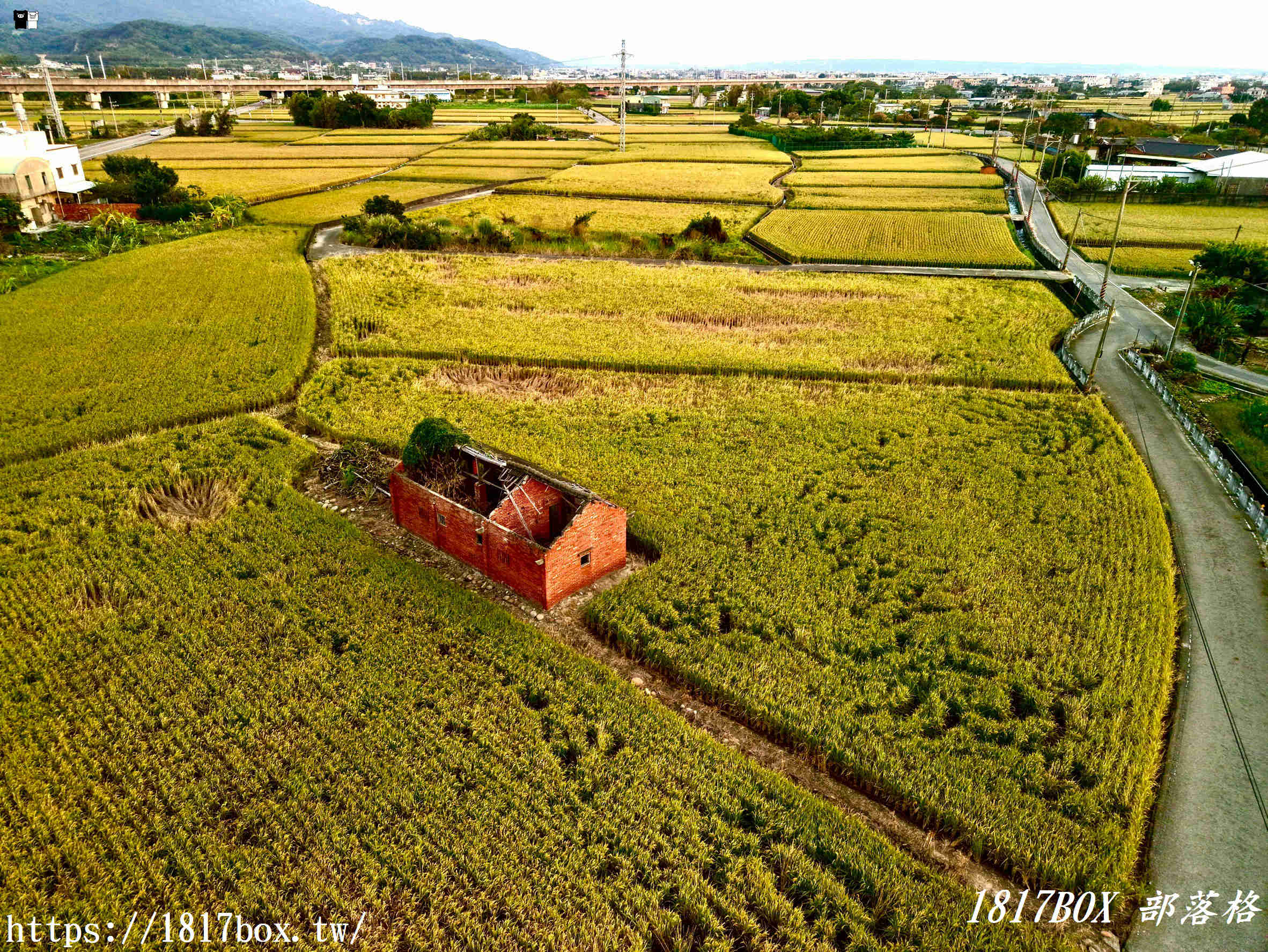 【苗栗。苑裡】稻田彩繪觀景臺。每年有不同主題的彩繪稻田供遊客欣賞 【苗栗。苑裡】稻田彩繪觀景臺。每年有不同主題的彩繪稻田供遊客欣賞