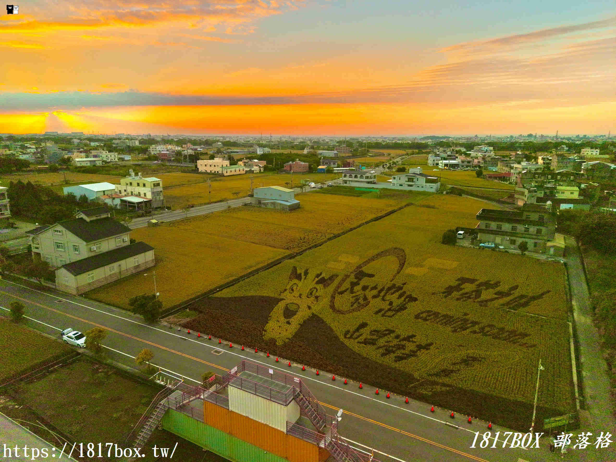 【苗栗。苑裡】稻田彩繪觀景臺。每年有不同主題的彩繪稻田供遊客欣賞
