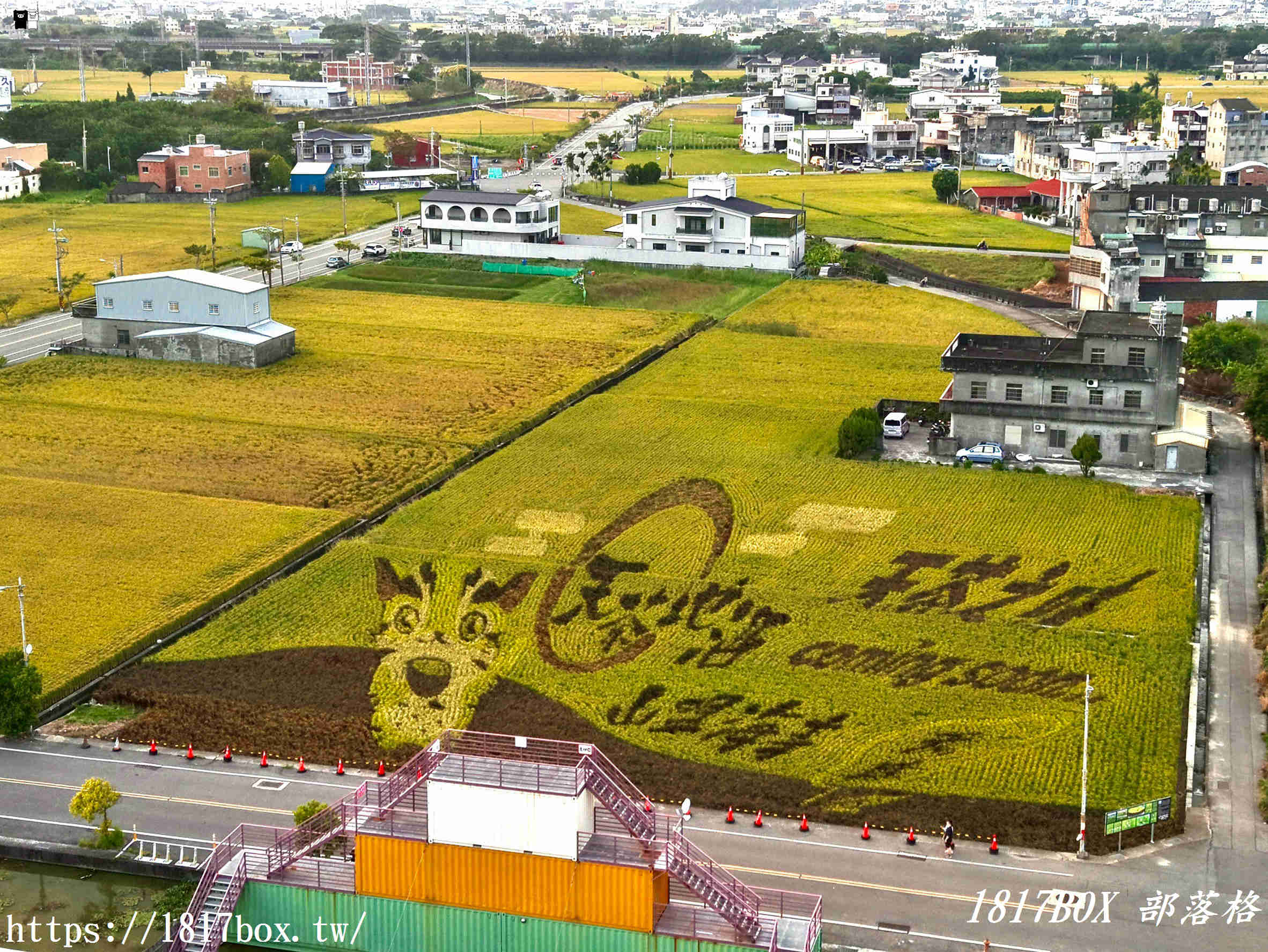 【苗栗。苑裡】稻田彩繪觀景臺。每年有不同主題的彩繪稻田供遊客欣賞 【苗栗。苑裡】稻田彩繪觀景臺。每年有不同主題的彩繪稻田供遊客欣賞