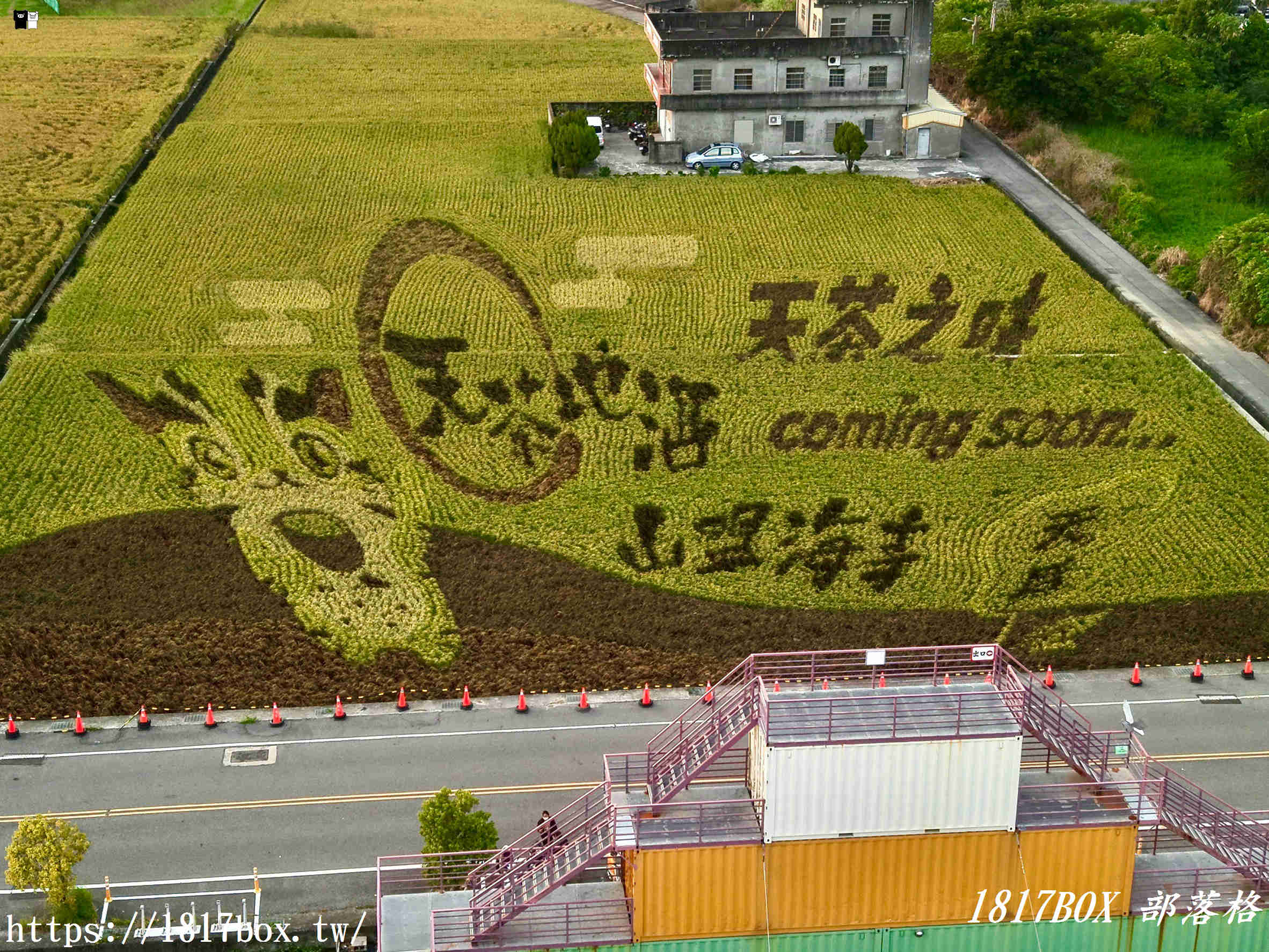 【苗栗。苑裡】稻田彩繪觀景臺。每年有不同主題的彩繪稻田供遊客欣賞 【苗栗。苑裡】稻田彩繪觀景臺。每年有不同主題的彩繪稻田供遊客欣賞