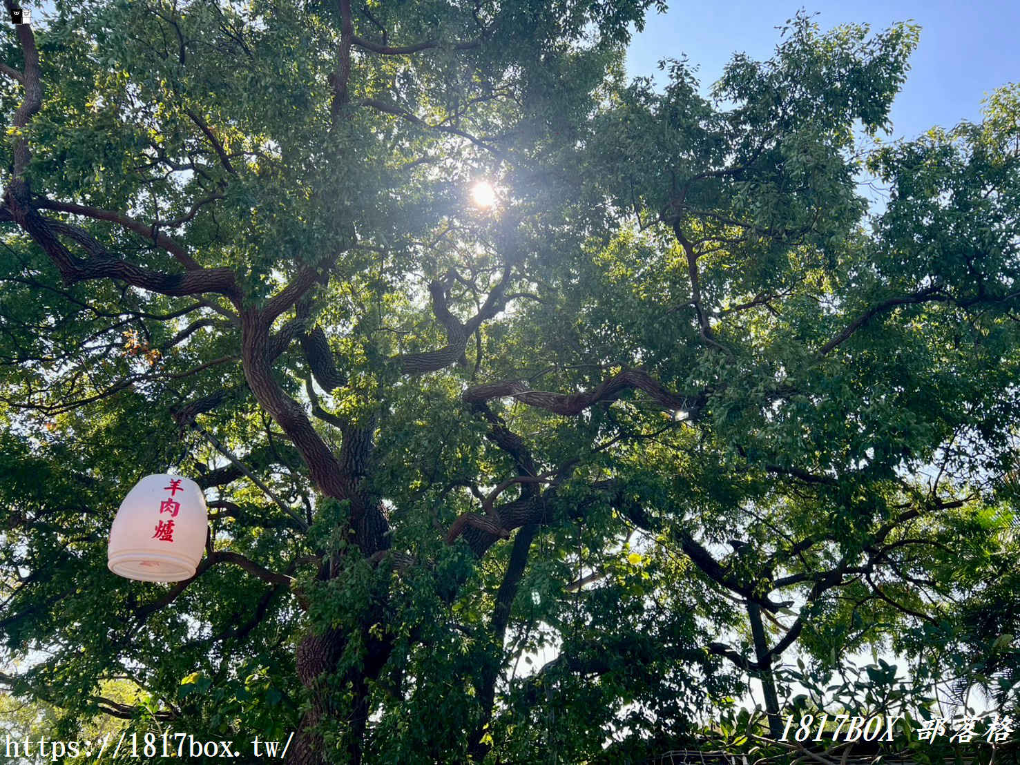 【台中。沙鹿】羊博士鍋物料理有限公司。鍋底有加香菜。鄰近清泉崗機場 【台中。沙鹿】羊博士鍋物料理有限公司。鍋底有加香菜。鄰近清泉崗機場