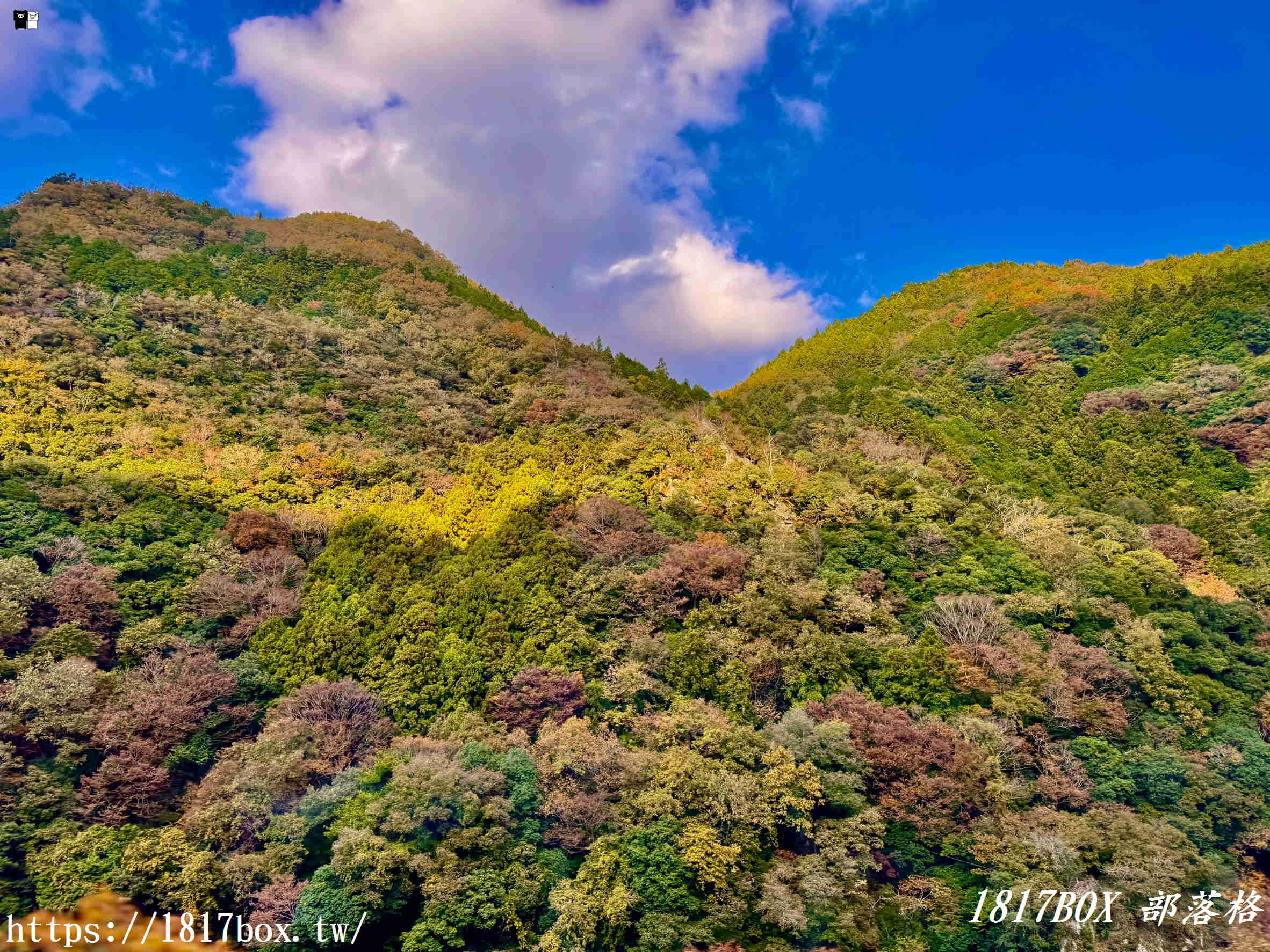 【體驗：大步危峽觀光遊覽船】一億年歲月雕琢而成。隨著四季不斷變幻姿態的壯麗峽谷