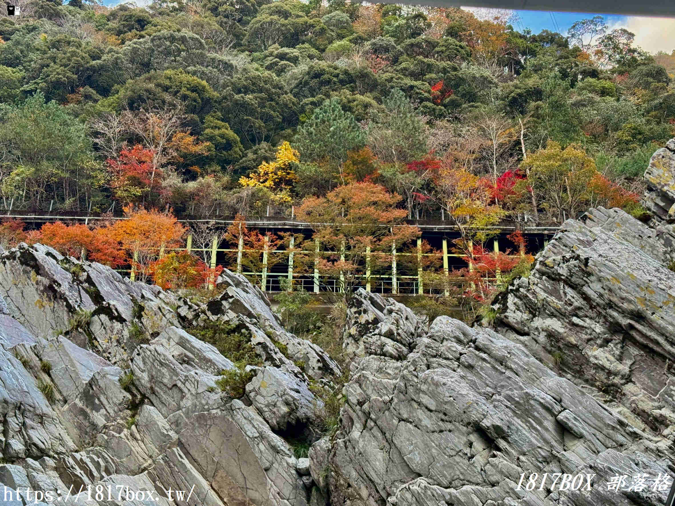 【體驗：大步危峽觀光遊覽船】一億年歲月雕琢而成。隨著四季不斷變幻姿態的壯麗峽谷