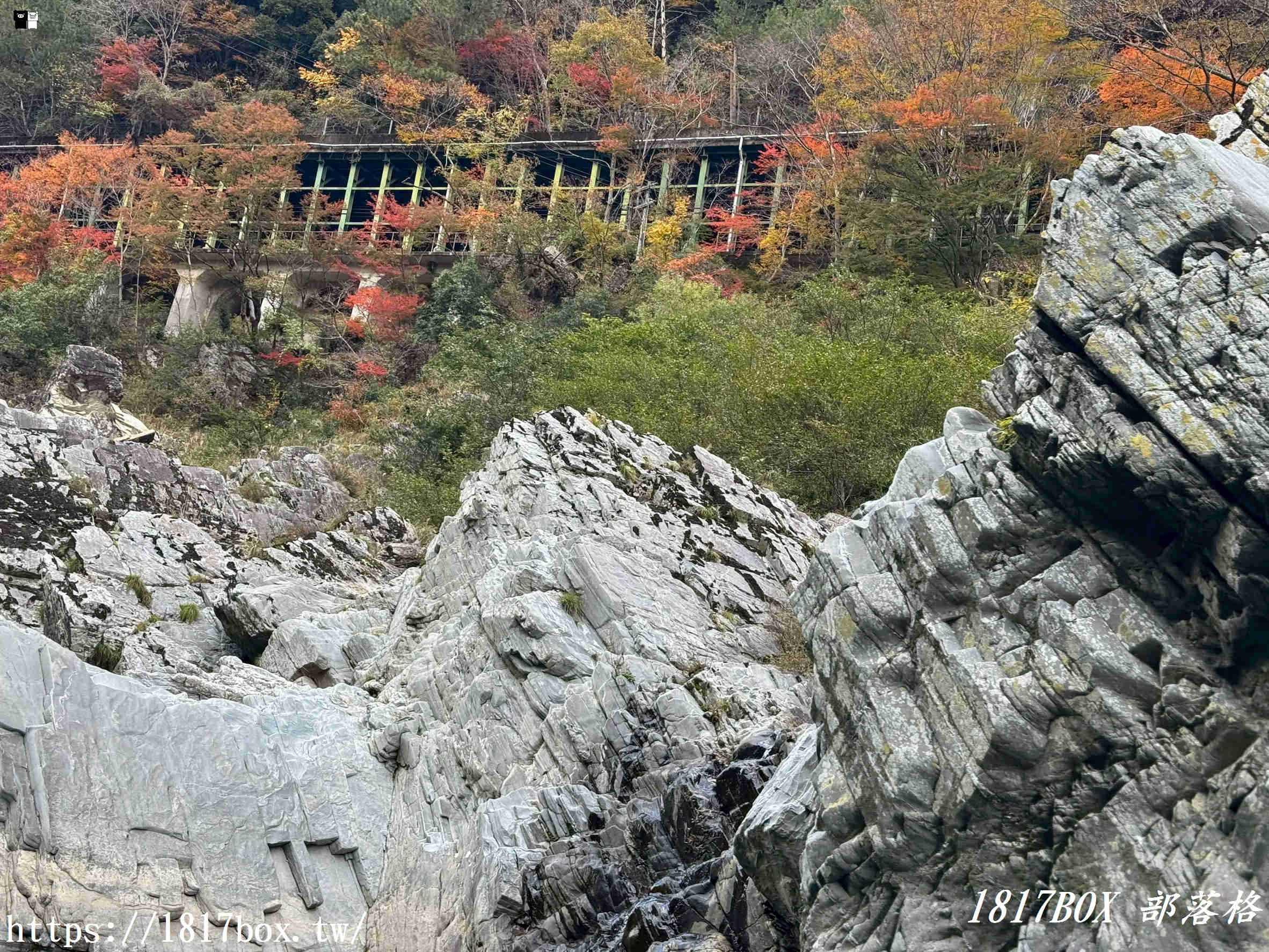 【體驗：大步危峽觀光遊覽船】一億年歲月雕琢而成。隨著四季不斷變幻姿態的壯麗峽谷