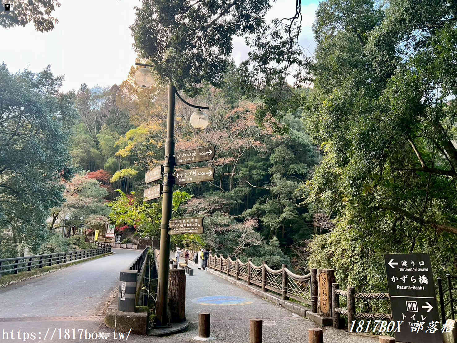 充滿刺激感！架於秘境中的「祖谷藤蔓橋」被列為日本三奇橋之一