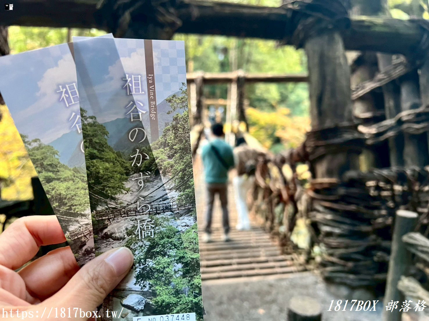 充滿刺激感！架於秘境中的「祖谷藤蔓橋」被列為日本三奇橋之一