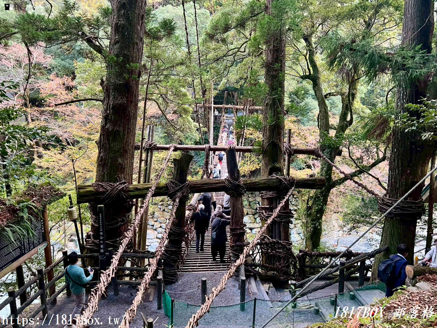 充滿刺激感！架於秘境中的「祖谷藤蔓橋」被列為日本三奇橋之一