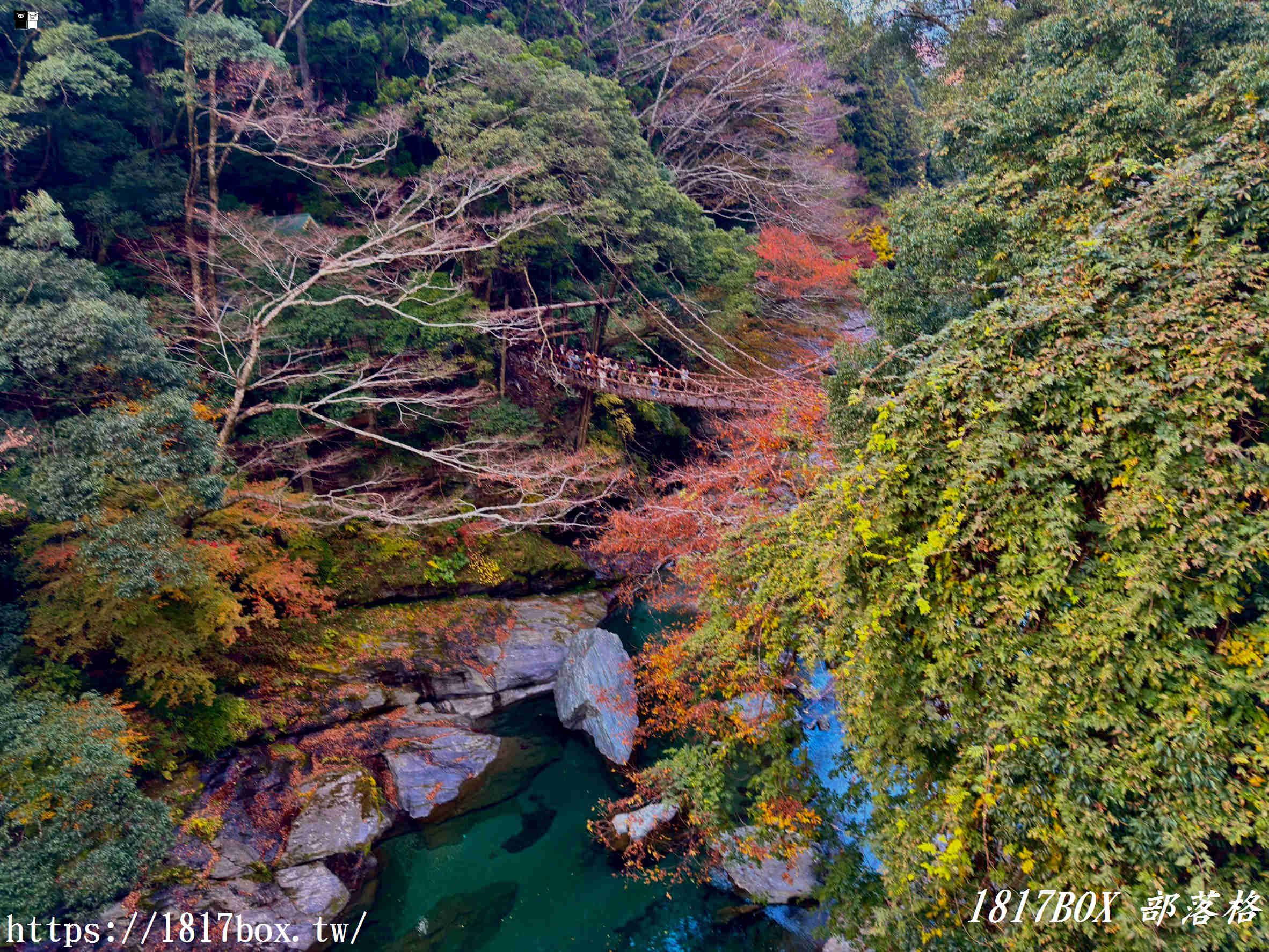充滿刺激感！架於秘境中的「祖谷藤蔓橋」被列為日本三奇橋之一