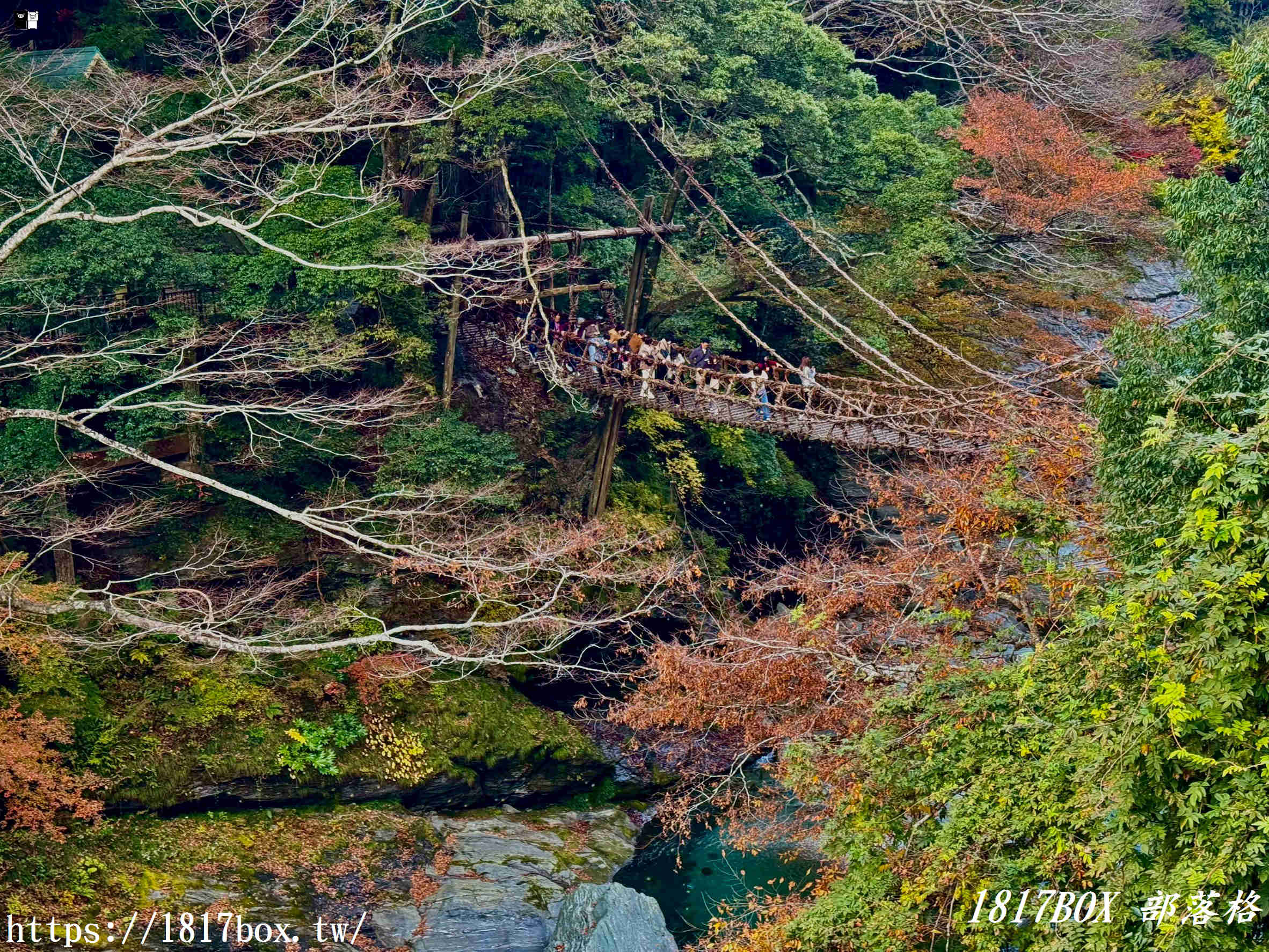 充滿刺激感！架於秘境中的「祖谷藤蔓橋」被列為日本三奇橋之一