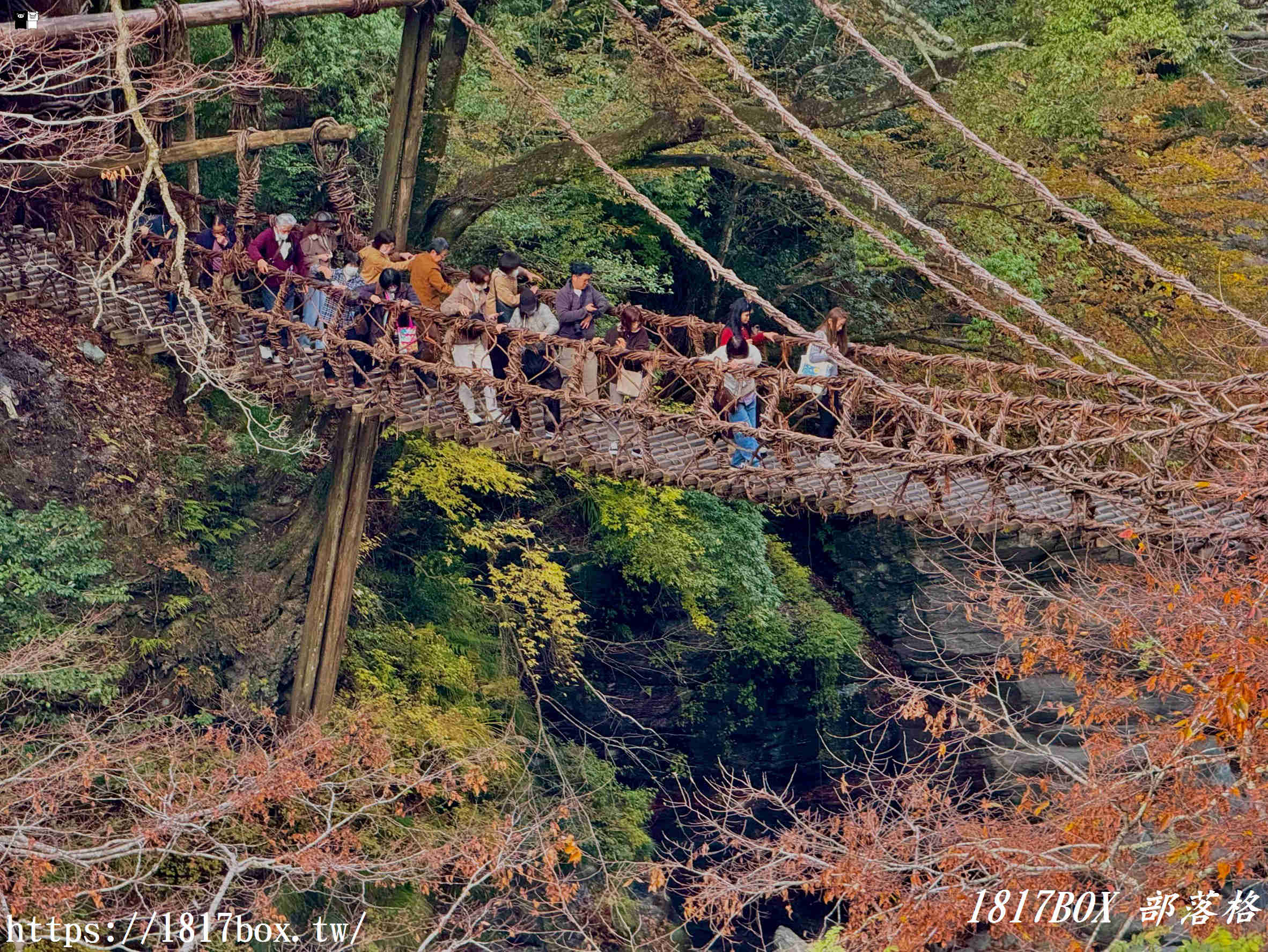充滿刺激感！架於秘境中的「祖谷藤蔓橋」被列為日本三奇橋之一