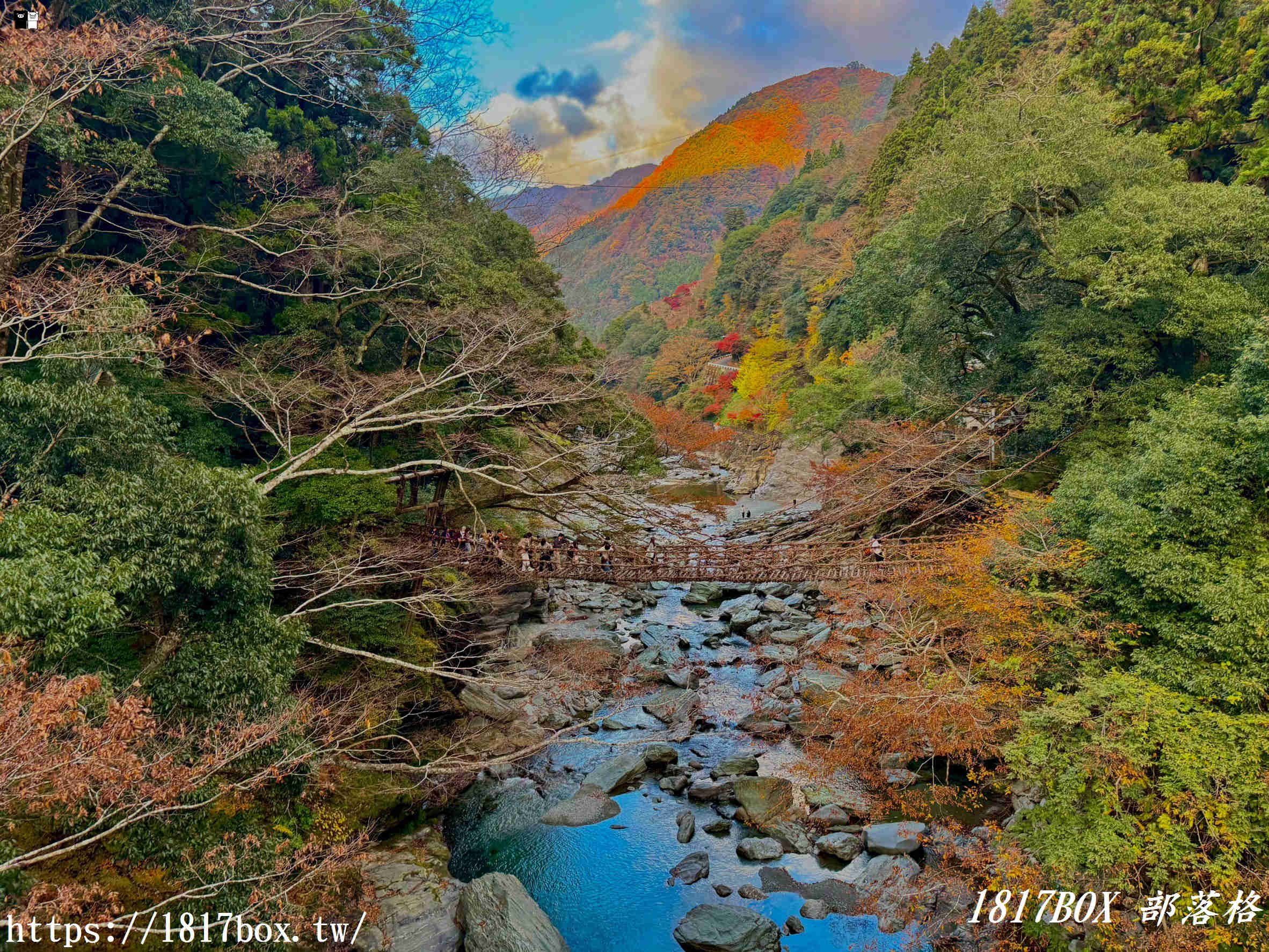充滿刺激感！架於秘境中的「祖谷藤蔓橋」被列為日本三奇橋之一