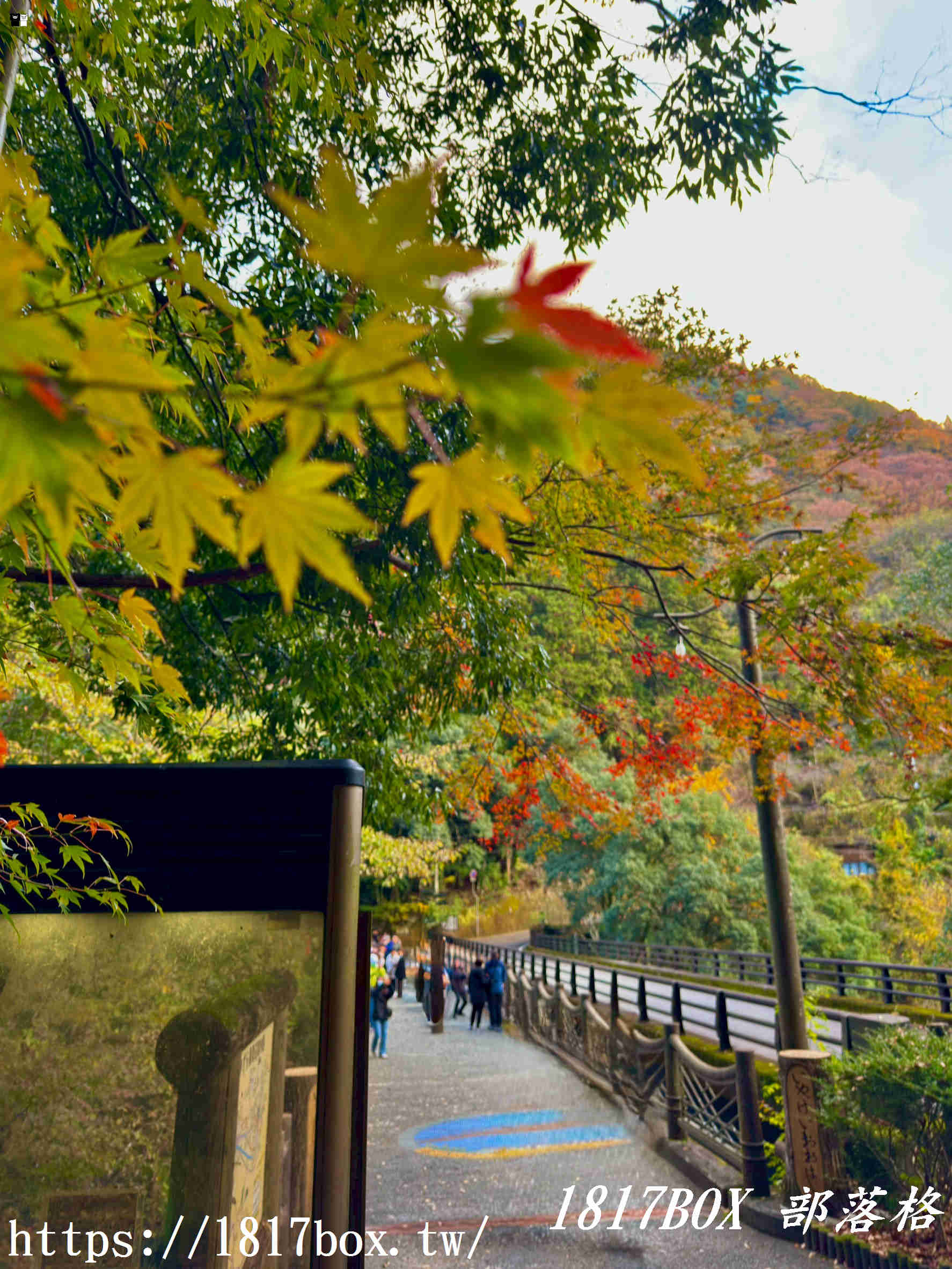 充滿刺激感！架於秘境中的「祖谷藤蔓橋」被列為日本三奇橋之一