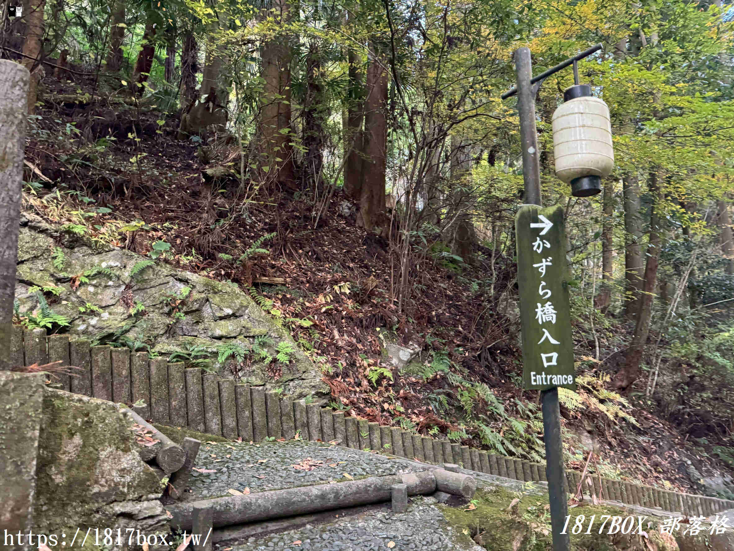 充滿刺激感！架於秘境中的「祖谷藤蔓橋」被列為日本三奇橋之一