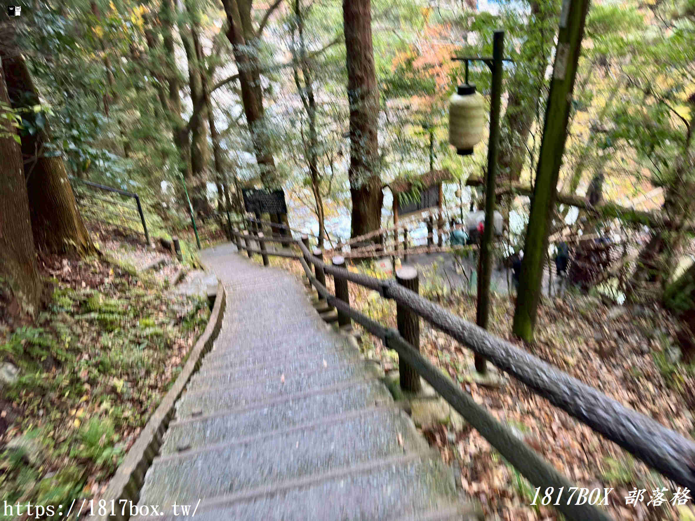 充滿刺激感！架於秘境中的「祖谷藤蔓橋」被列為日本三奇橋之一