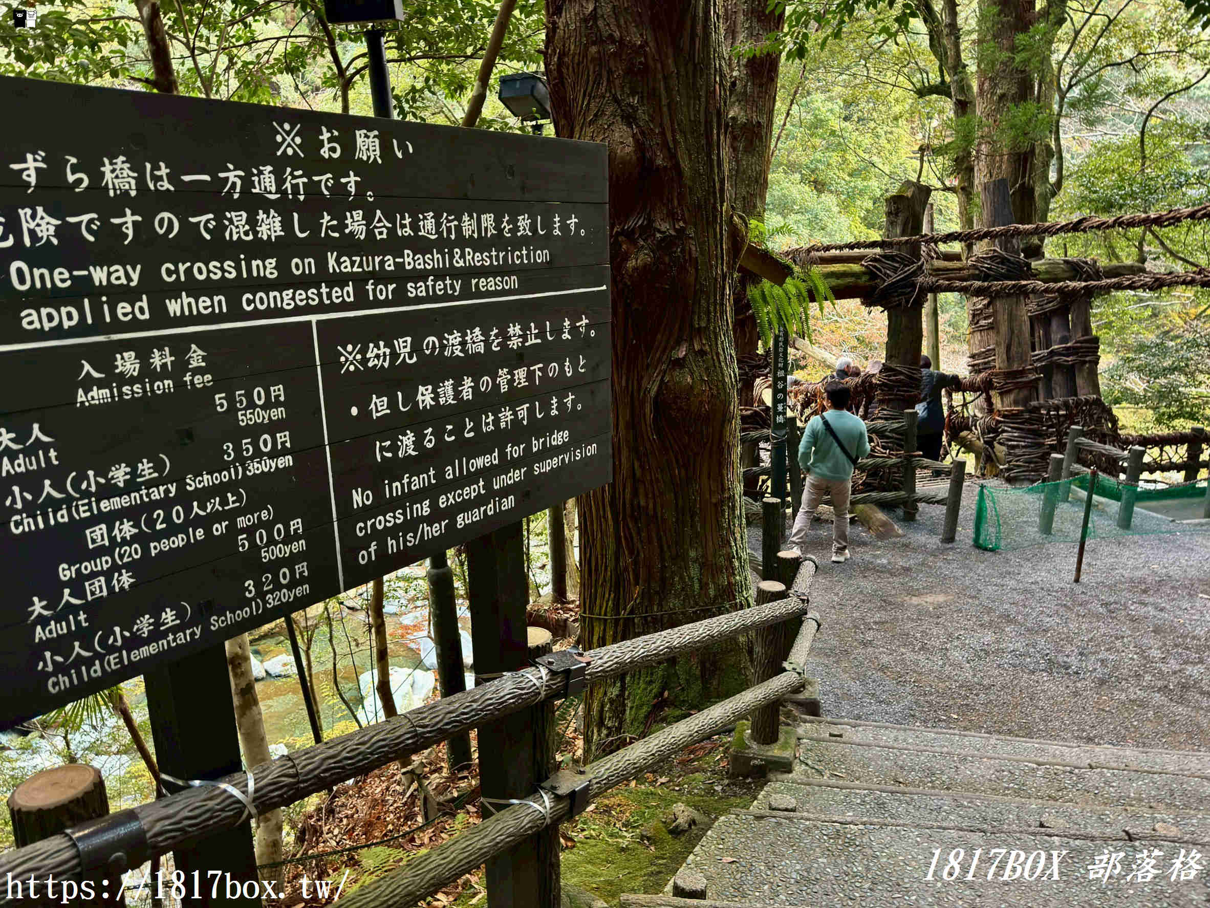 充滿刺激感！架於秘境中的「祖谷藤蔓橋」被列為日本三奇橋之一