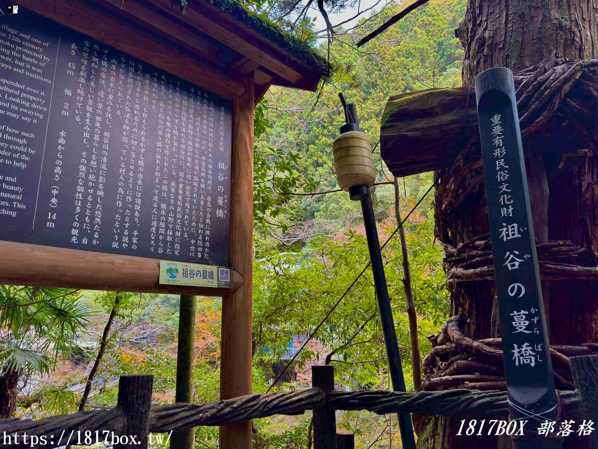 充滿刺激感！架於秘境中的「祖谷藤蔓橋」被列為日本三奇橋之一