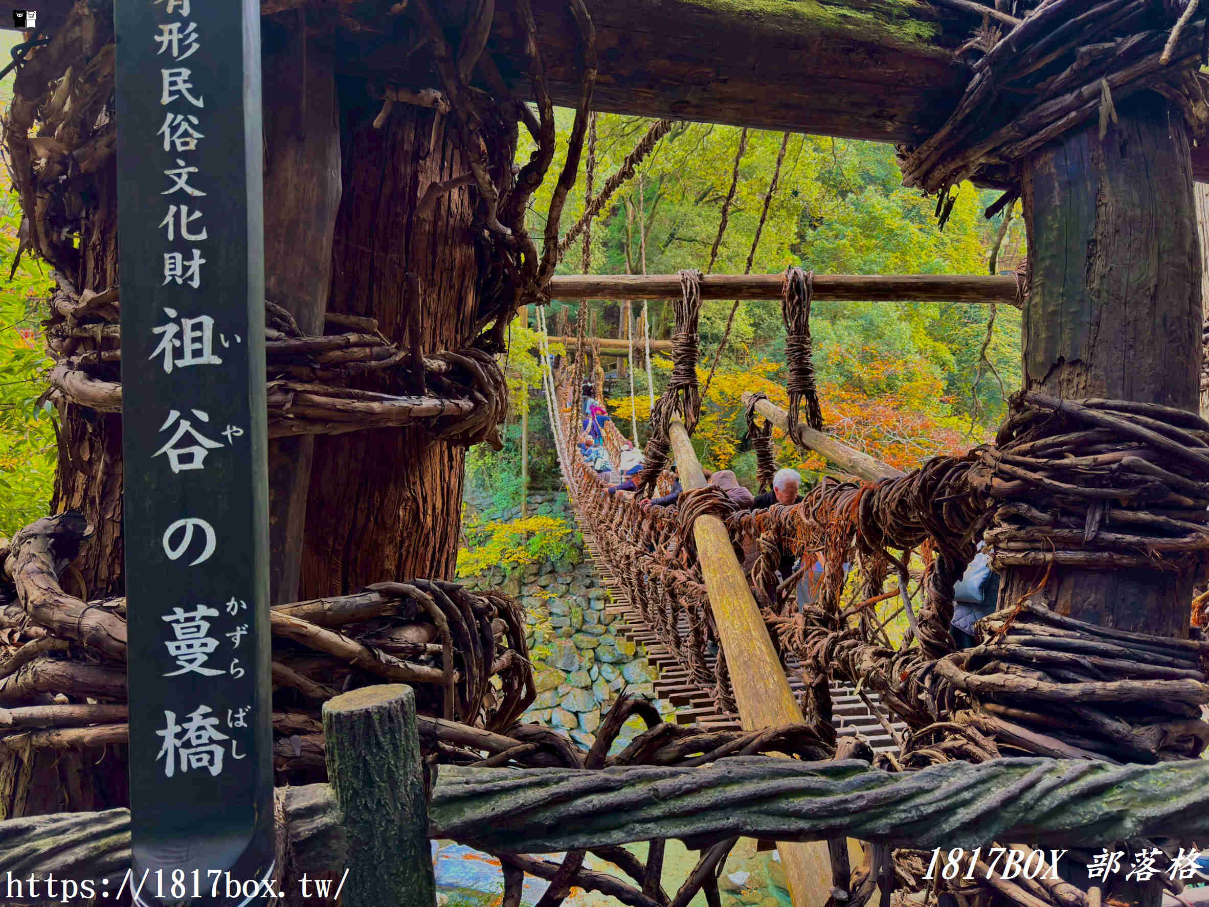 充滿刺激感！架於秘境中的「祖谷藤蔓橋」被列為日本三奇橋之一