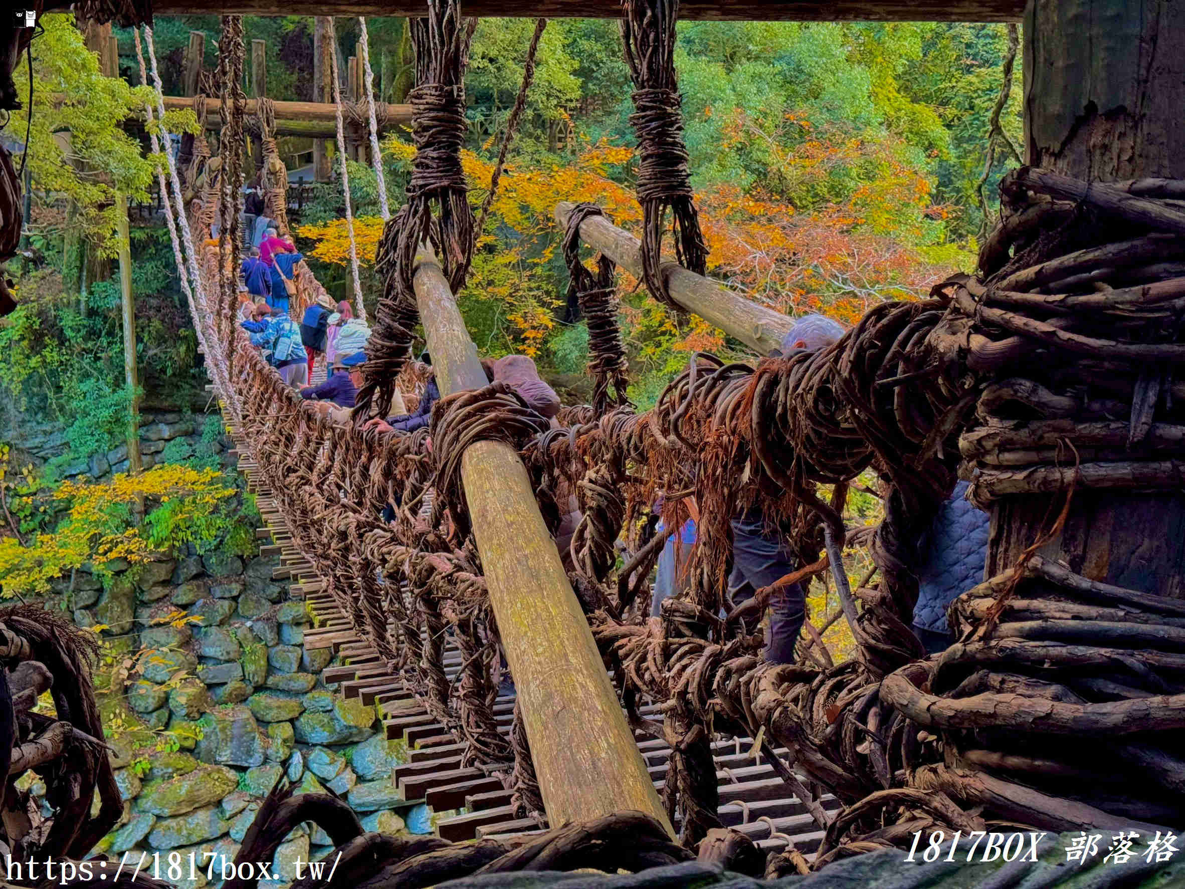 充滿刺激感！架於秘境中的「祖谷藤蔓橋」被列為日本三奇橋之一