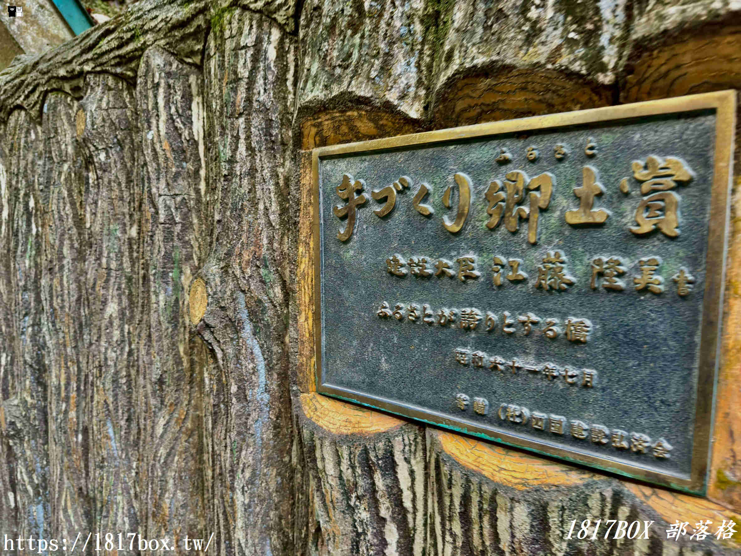 充滿刺激感！架於秘境中的「祖谷藤蔓橋」被列為日本三奇橋之一