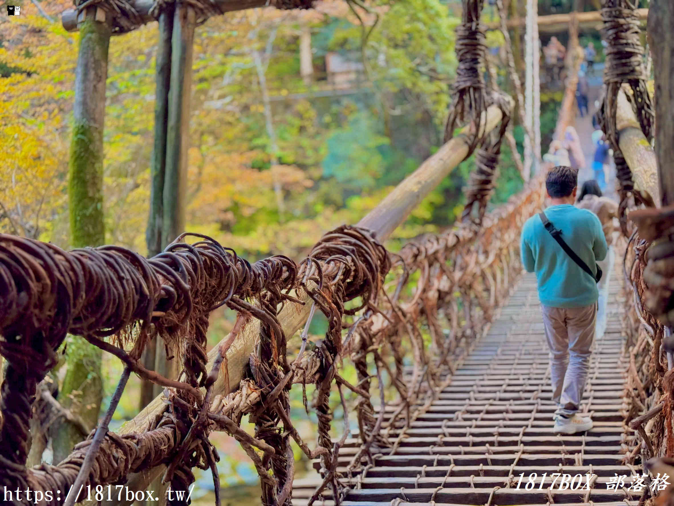 充滿刺激感！架於秘境中的「祖谷藤蔓橋」被列為日本三奇橋之一