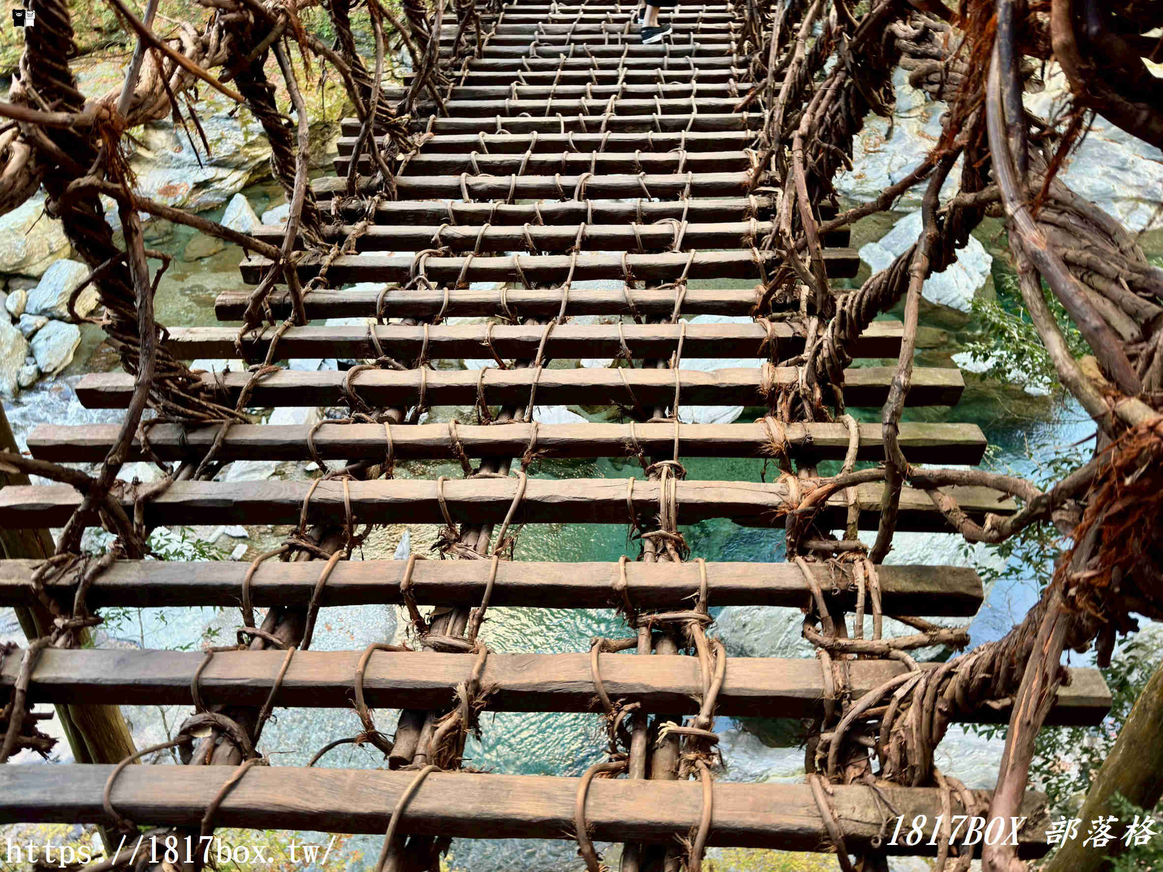 充滿刺激感！架於秘境中的「祖谷藤蔓橋」被列為日本三奇橋之一