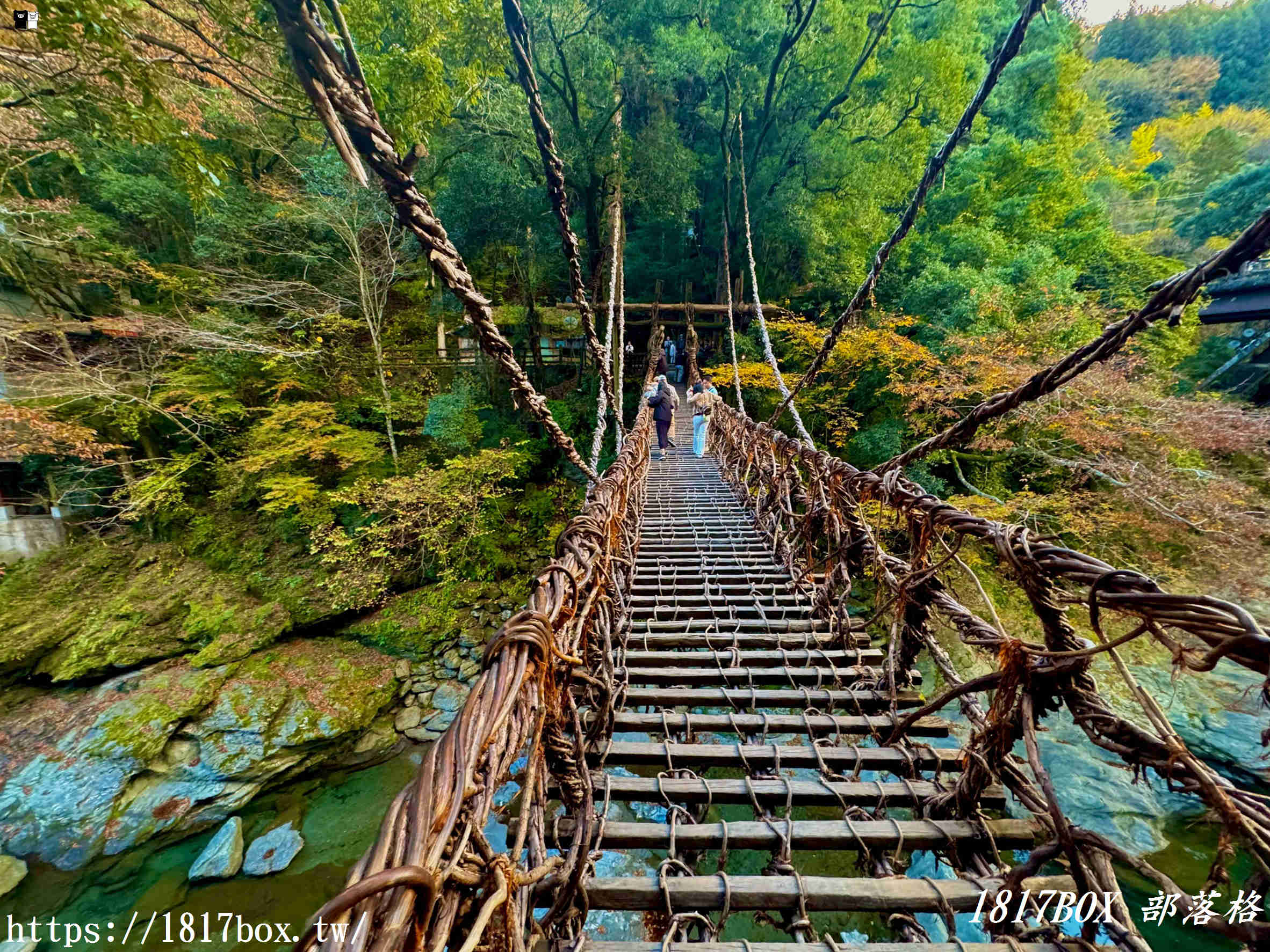 充滿刺激感！架於秘境中的「祖谷藤蔓橋」被列為日本三奇橋之一