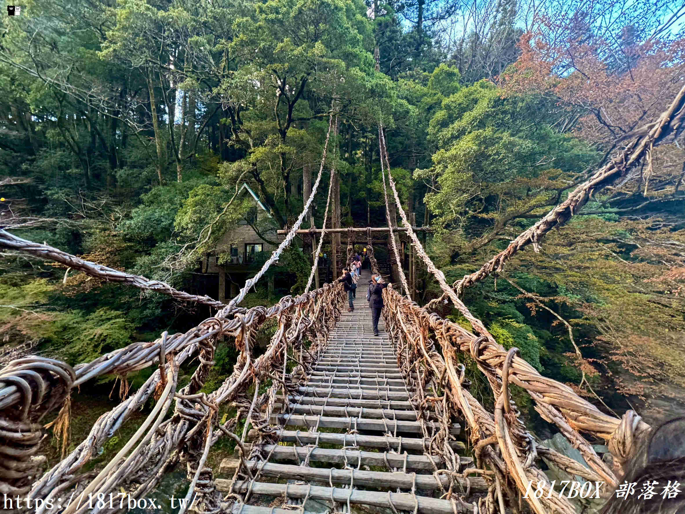 充滿刺激感！架於秘境中的「祖谷藤蔓橋」被列為日本三奇橋之一