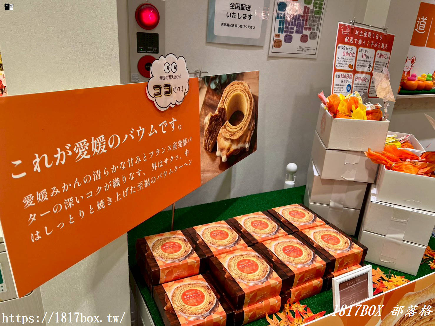 道後 Dogo Milk Cheese Cake：道後溫泉街必吃的乳酪甜點