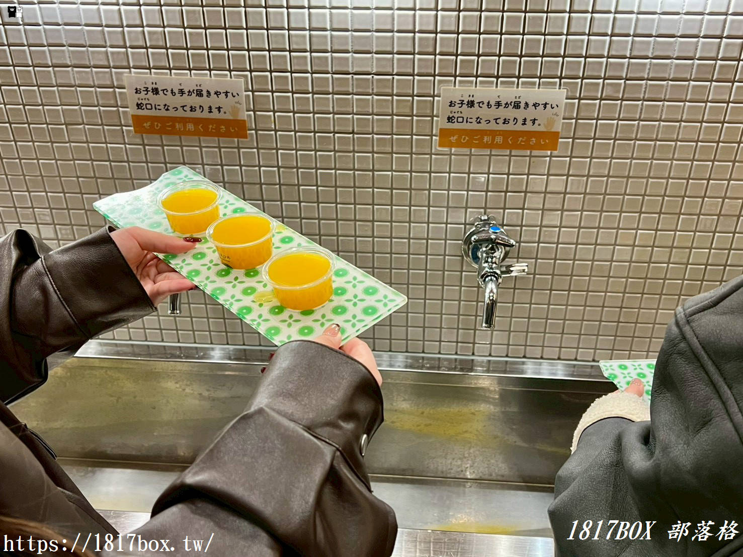 愛媛の食卓1970：昭和時光裡的柑橘香氣，感受「水龍頭流出柳橙汁」的獨特樂趣