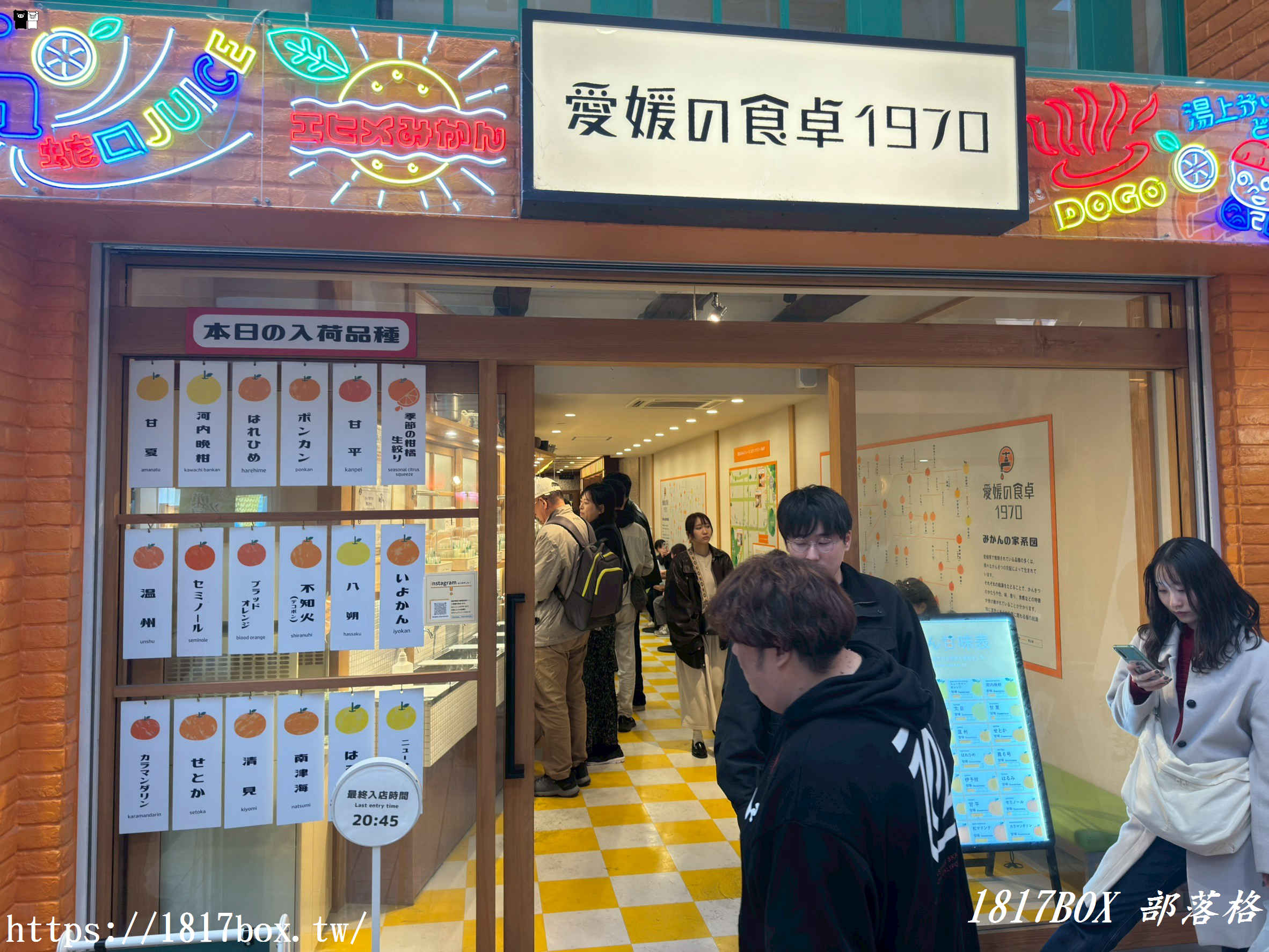 愛媛の食卓1970：昭和時光裡的柑橘香氣，感受「水龍頭流出柳橙汁」的獨特樂趣