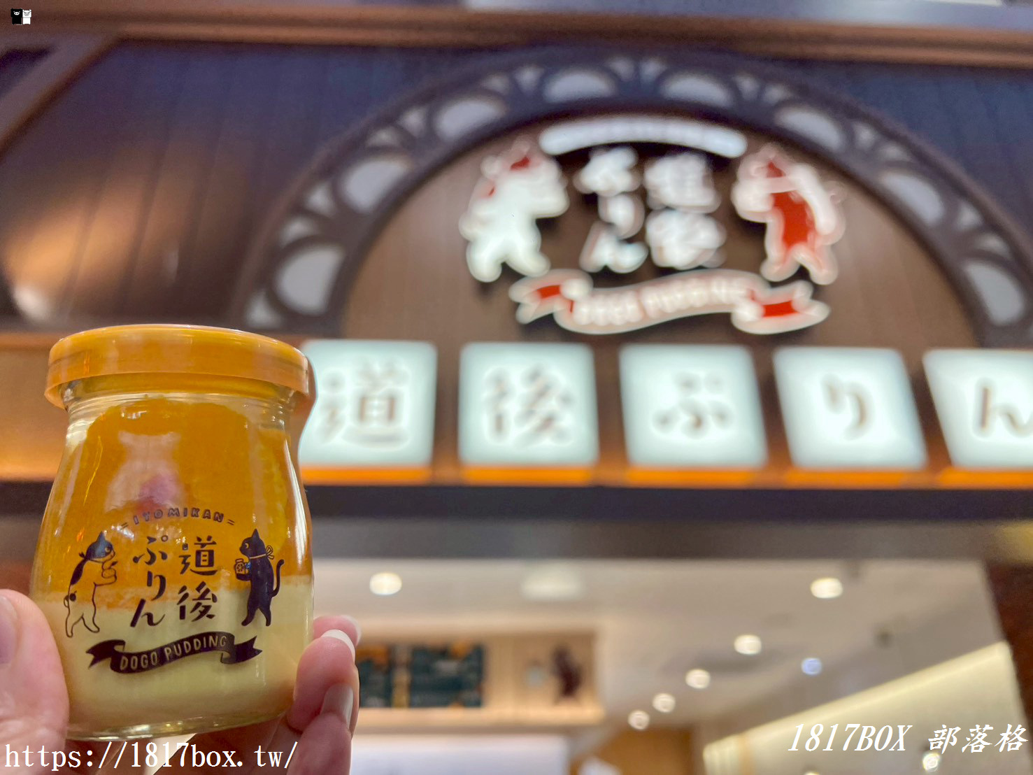 【四國必吃】道後ぷりん（道後布丁）：整顆蜜柑入味！道後溫泉商店街超萌貓咪甜點推薦