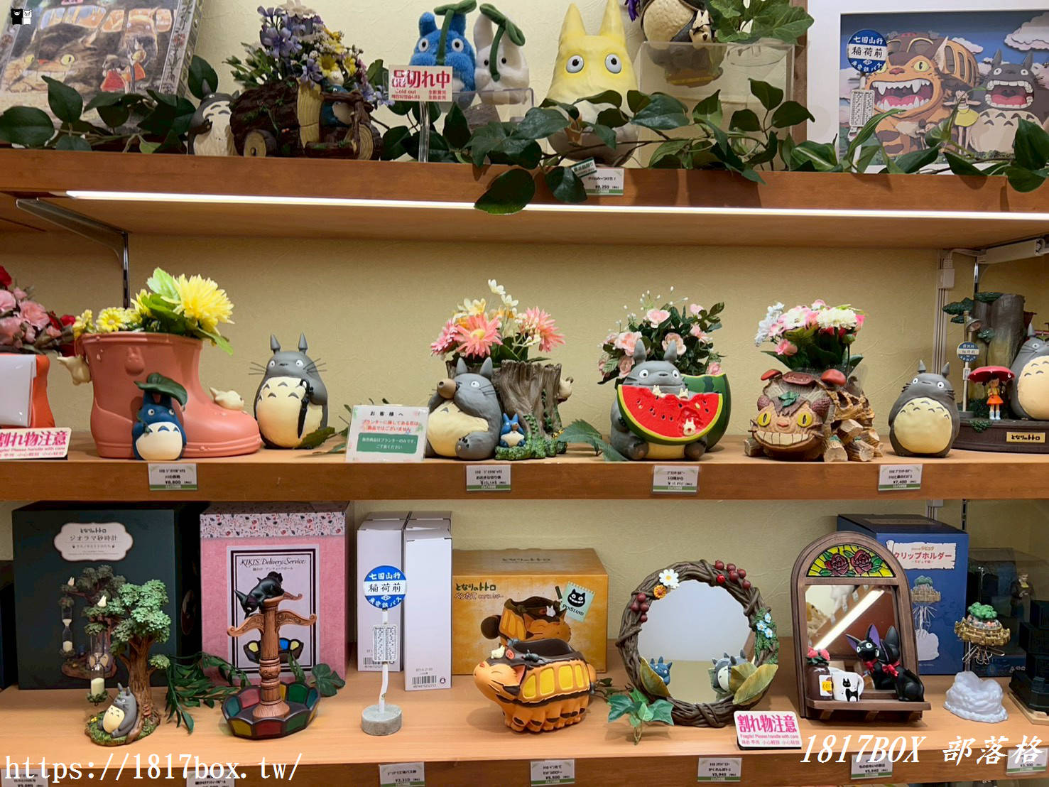 【四國旅遊】走進吉卜力世界！橡子共和國松山道後店全攻略：龍貓、神隱少女經典再現