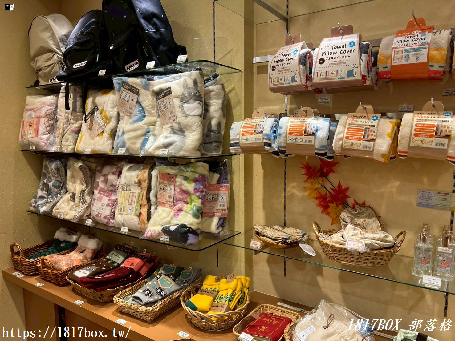 【四國旅遊】走進吉卜力世界！橡子共和國松山道後店全攻略：龍貓、神隱少女經典再現