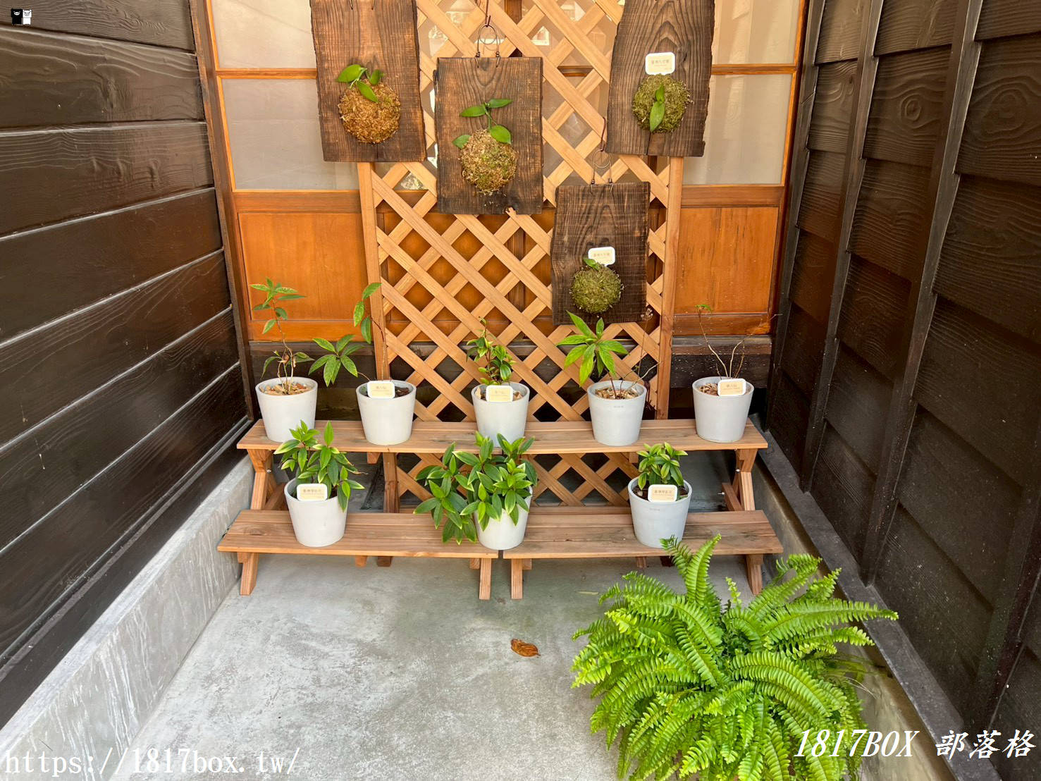 豐原秘境：穿越時空遇見「營林所臺中出張所宿泊所」，百年檜木日式建築重生！