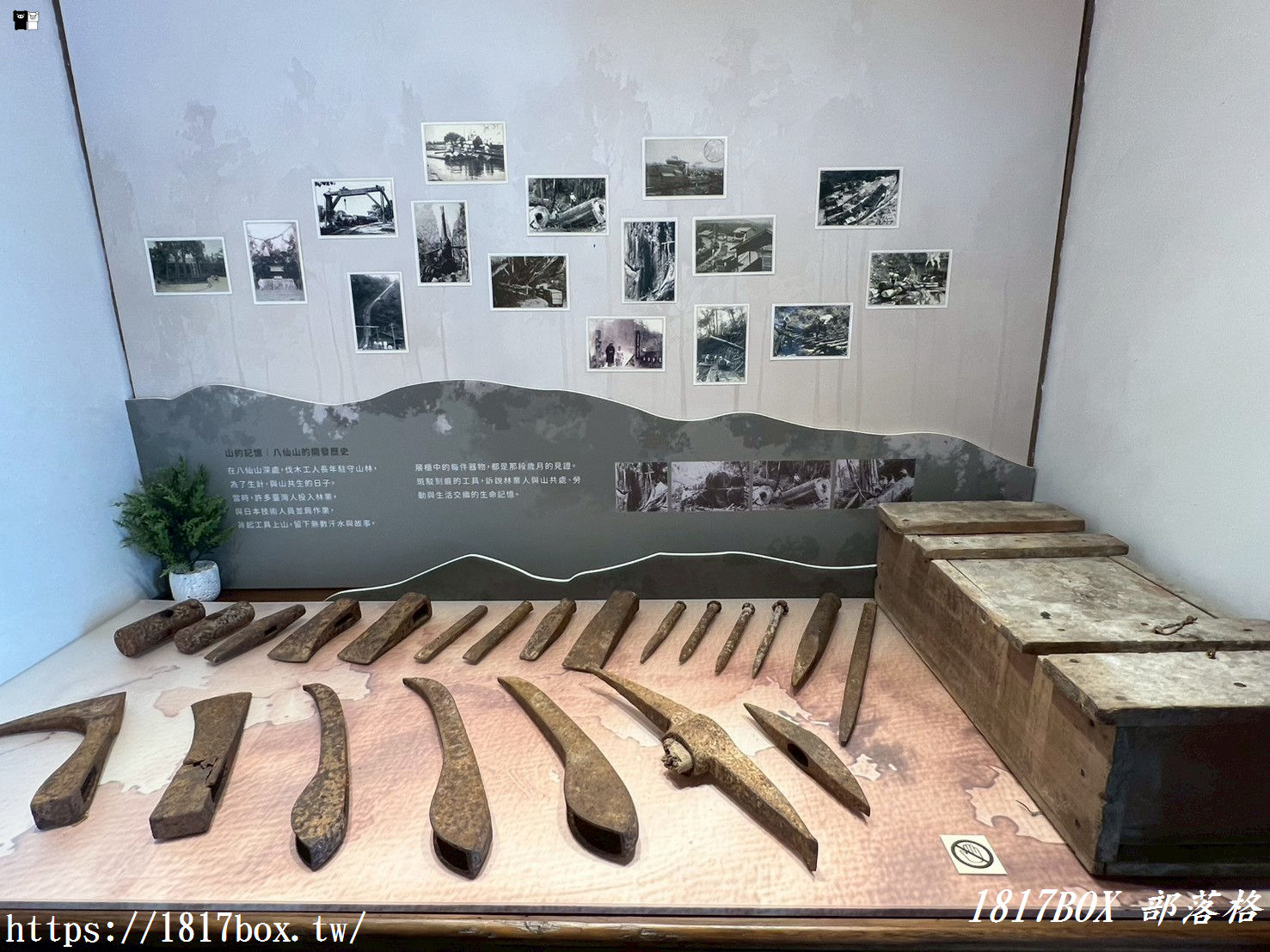 豐原秘境：穿越時空遇見「營林所臺中出張所宿泊所」，百年檜木日式建築重生！