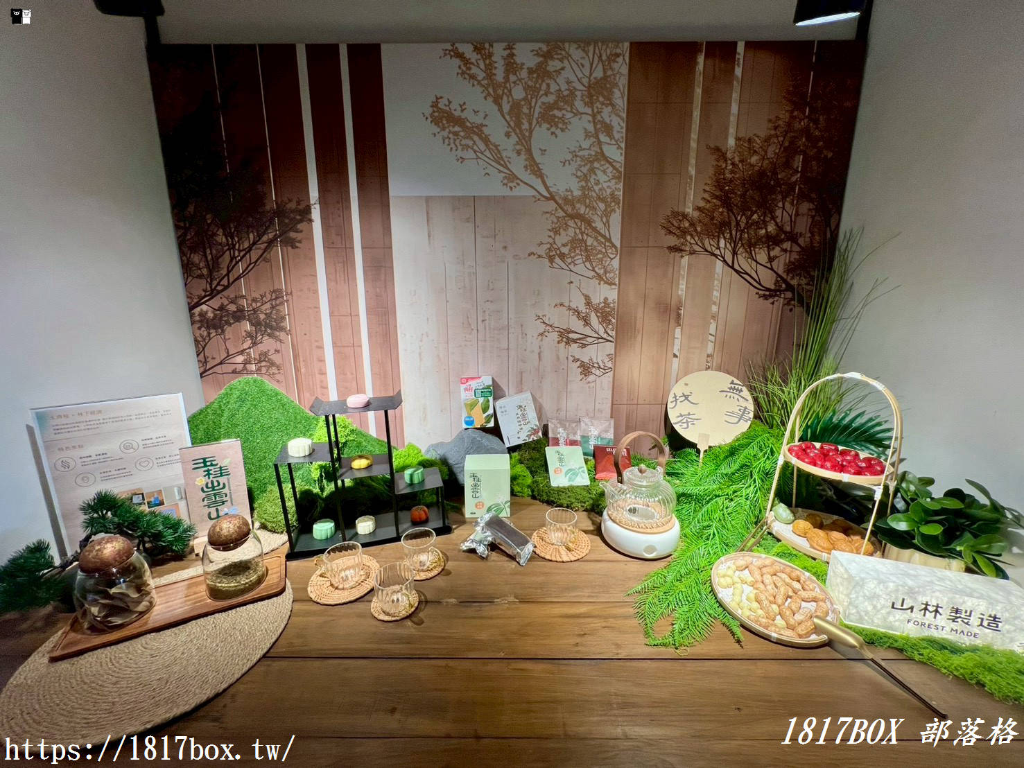 豐原秘境：穿越時空遇見「營林所臺中出張所宿泊所」，百年檜木日式建築重生！