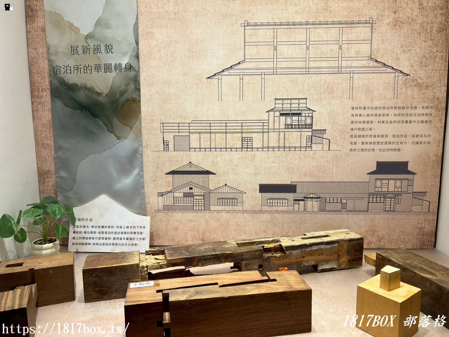 豐原秘境：穿越時空遇見「營林所臺中出張所宿泊所」，百年檜木日式建築重生！