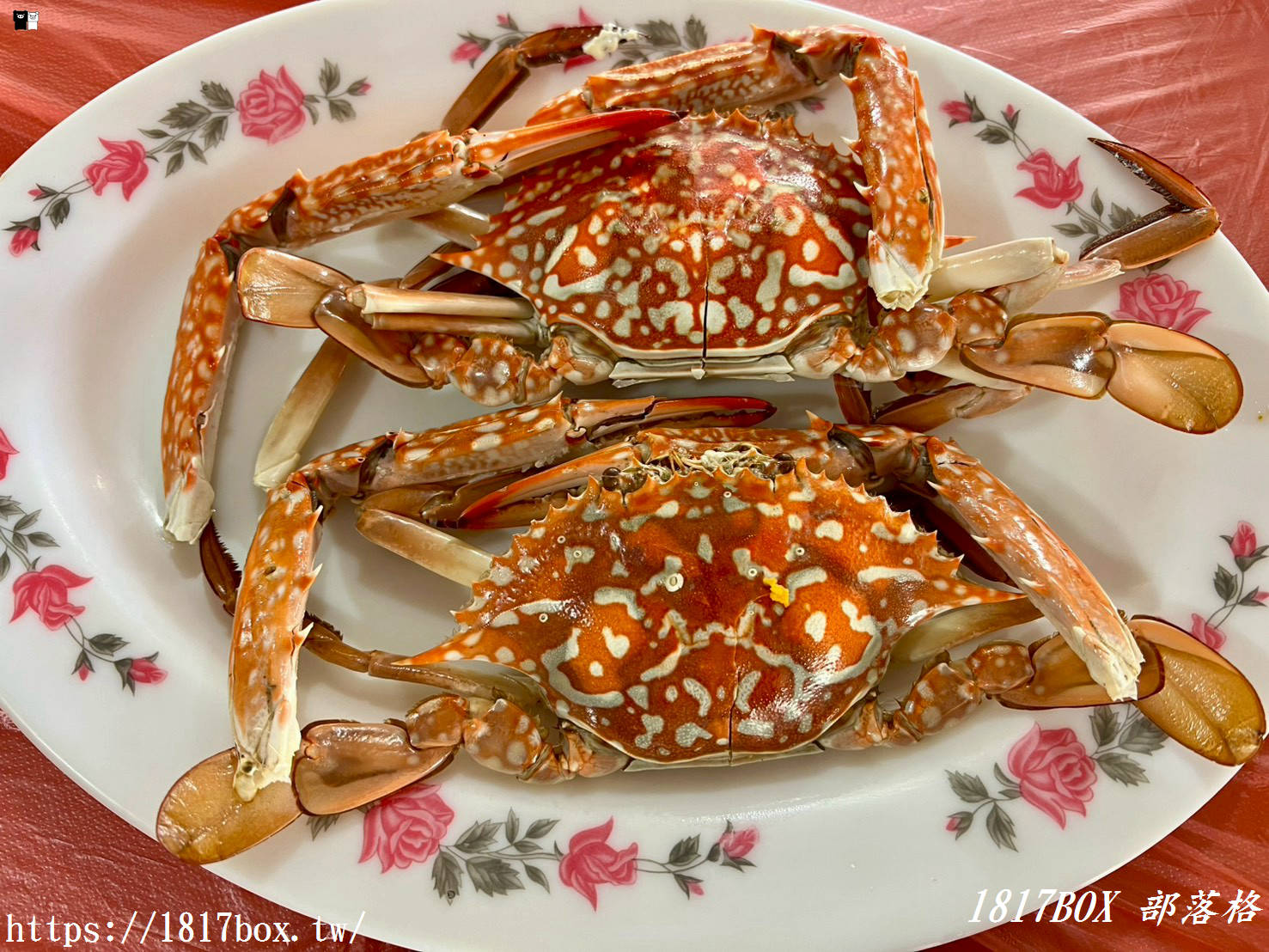 【七股美食】61線活海產！新鮮美味不踩雷，便宜大碗的在地人氣海鮮餐廳！