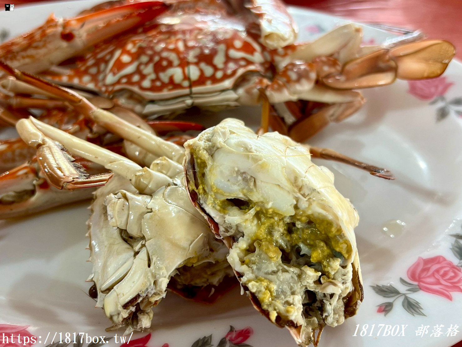 【七股美食】61線活海產！新鮮美味不踩雷，便宜大碗的在地人氣海鮮餐廳！