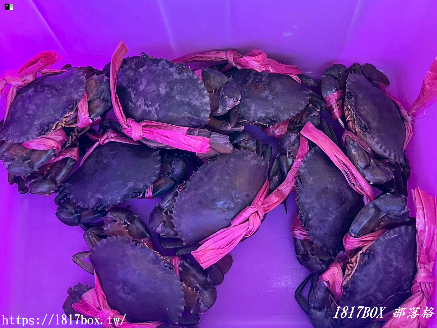 【七股美食】61線活海產！新鮮美味不踩雷，便宜大碗的在地人氣海鮮餐廳！