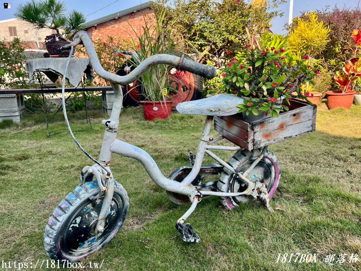 「仙人指路咖啡館」被喻為七股海岸線上最美的網美咖啡