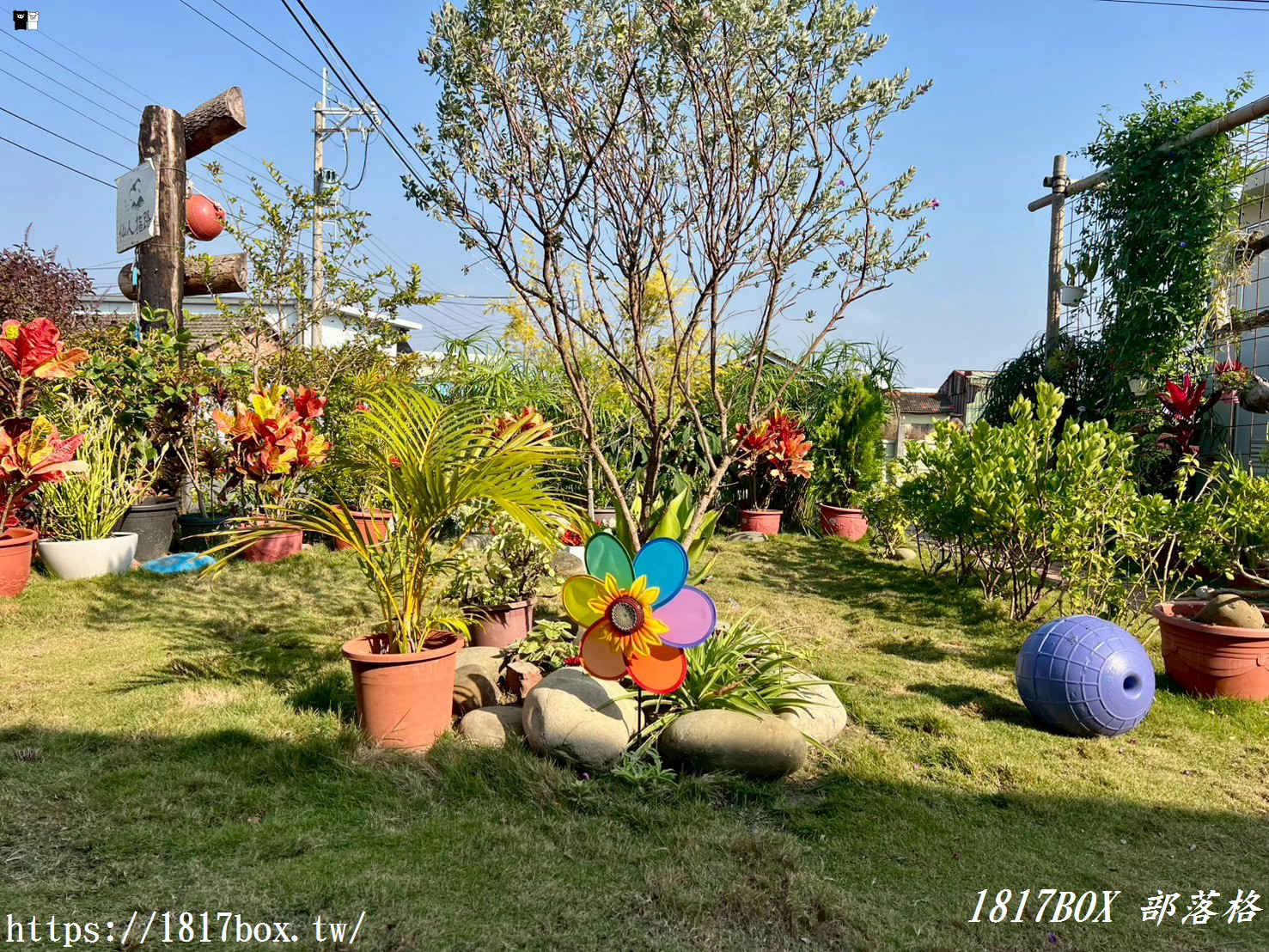 「仙人指路咖啡館」被喻為七股海岸線上最美的網美咖啡