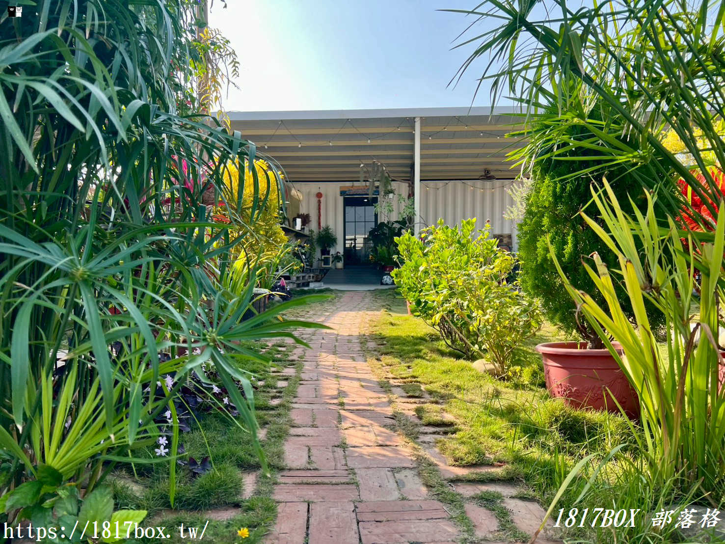 「仙人指路咖啡館」被喻為七股海岸線上最美的網美咖啡