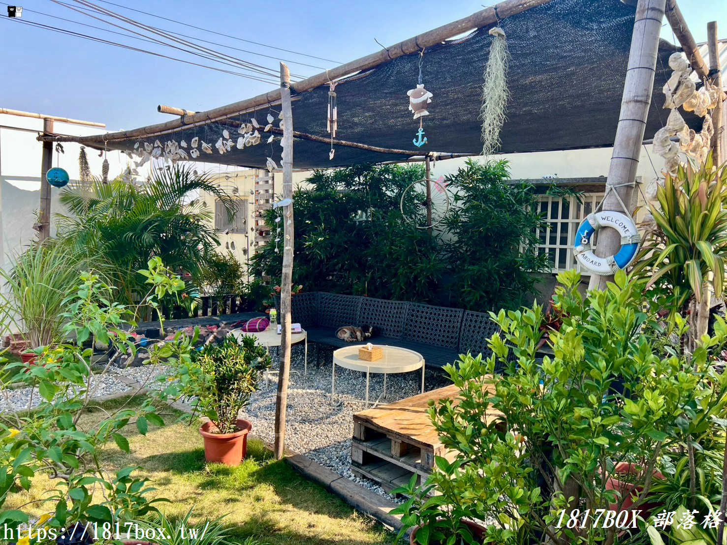 「仙人指路咖啡館」被喻為七股海岸線上最美的網美咖啡