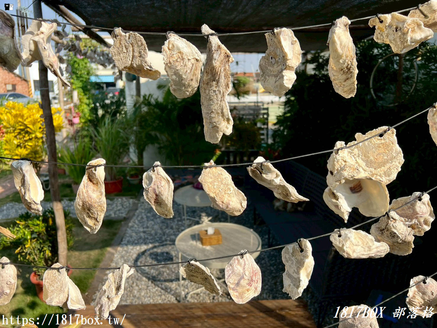 「仙人指路咖啡館」被喻為七股海岸線上最美的網美咖啡