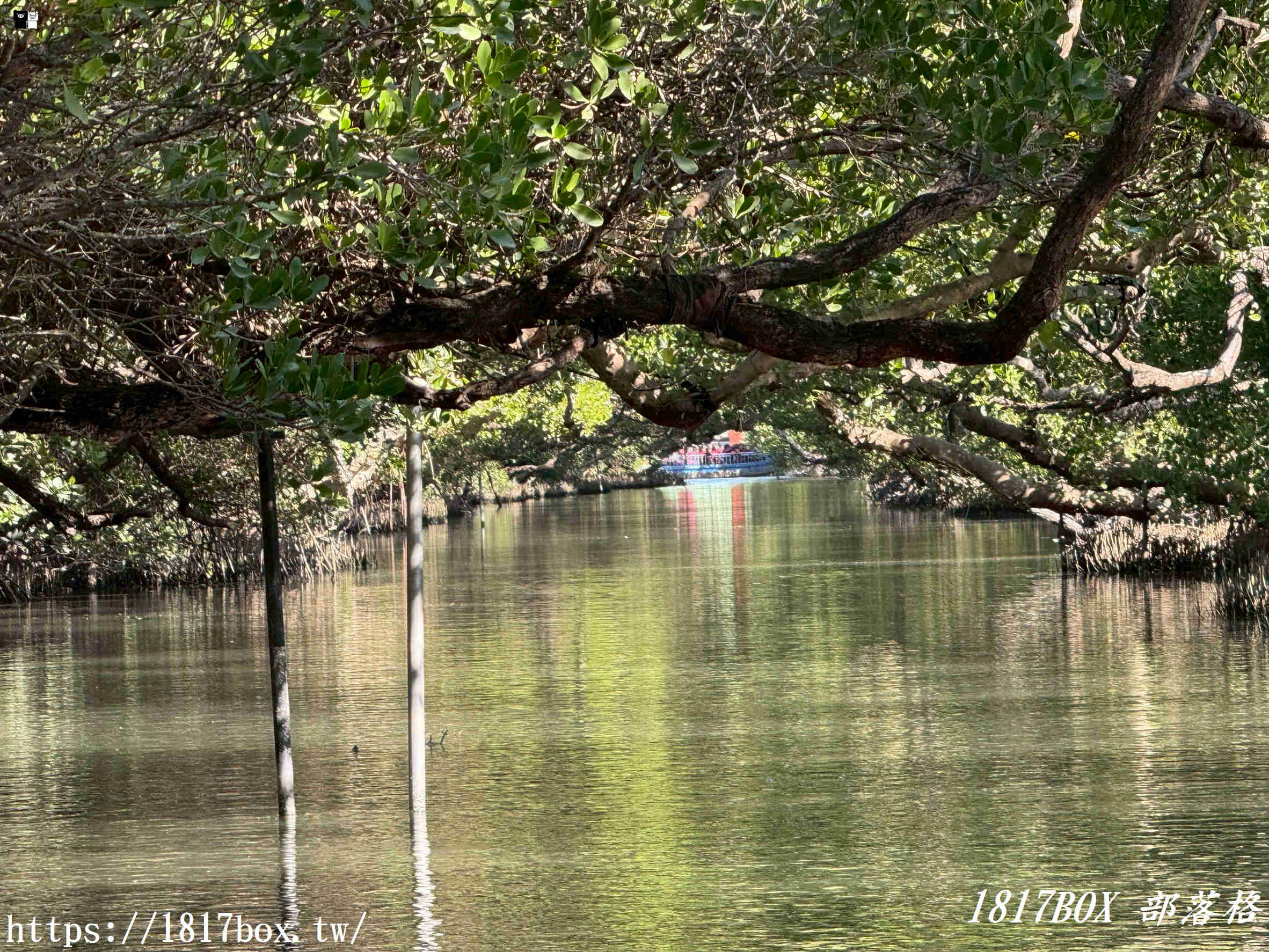 台南四草綠色隧道:台版亞馬遜秘境,預約、票價、船班全攻略 台南四草綠色隧道:台版亞馬遜秘境,預約、票價、船班全攻略